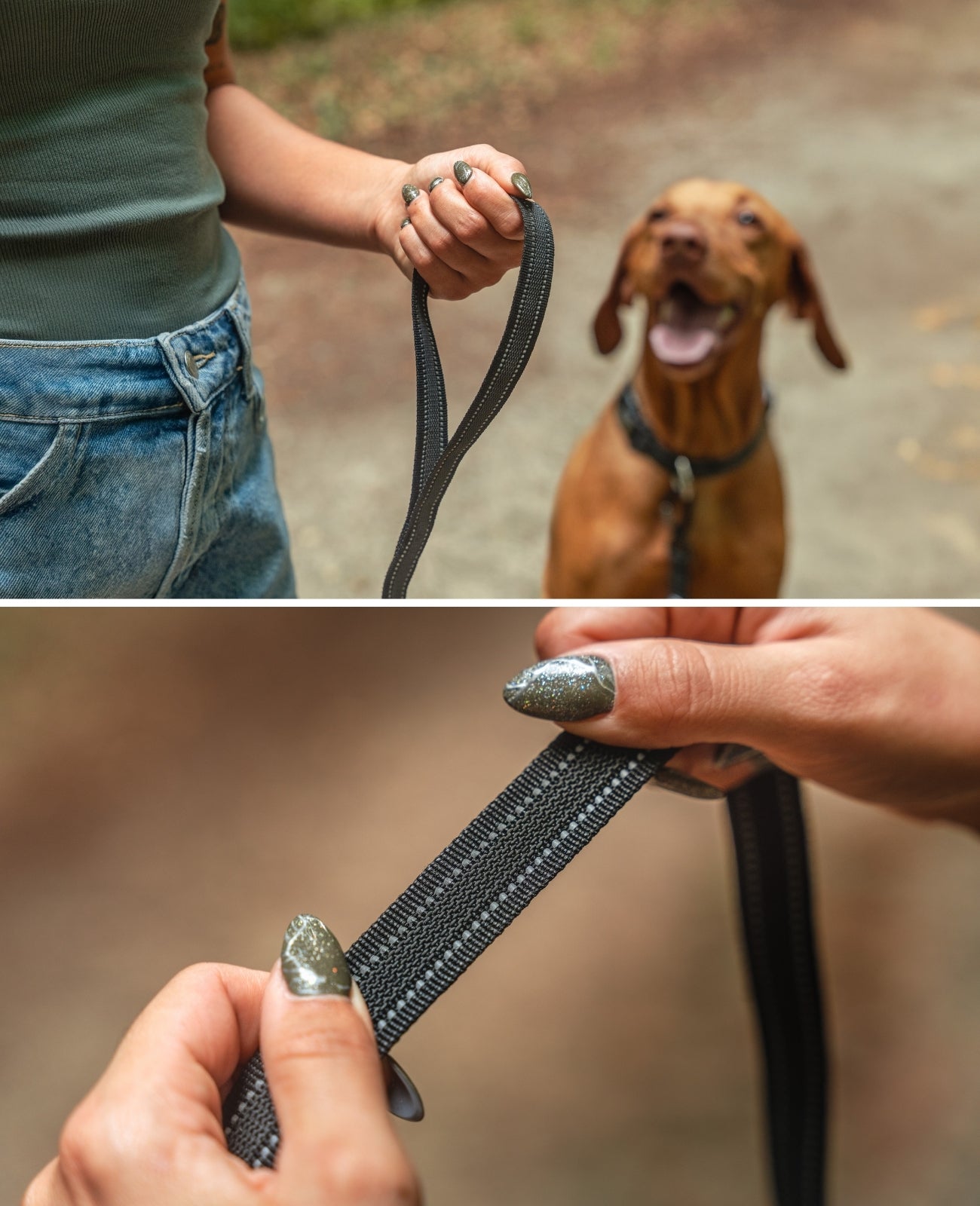 Correa de goma para perros, reflectante