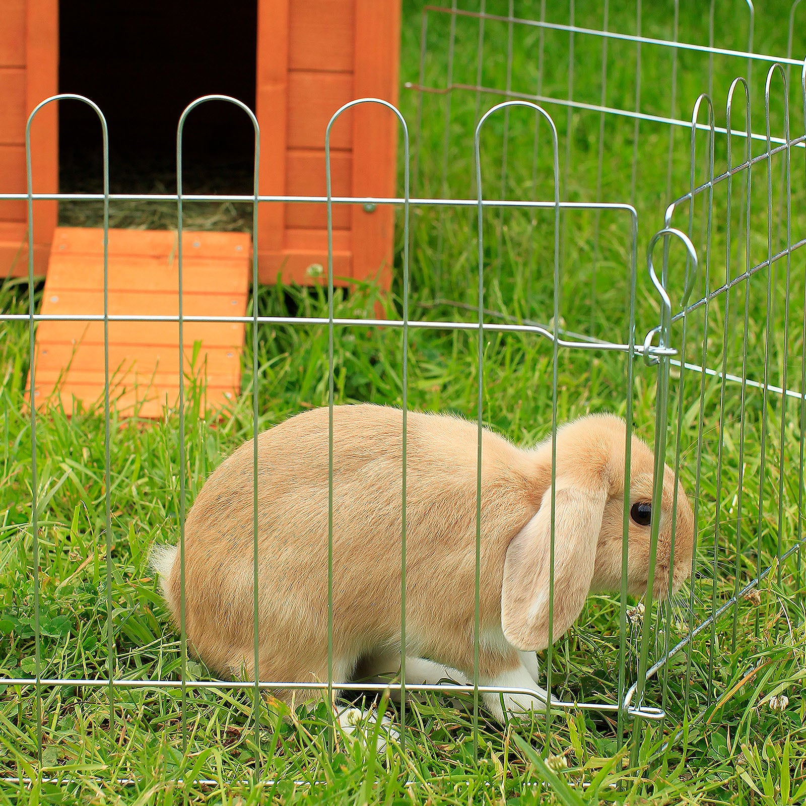 Recinto exterior de metal para animales pequeños y roedores