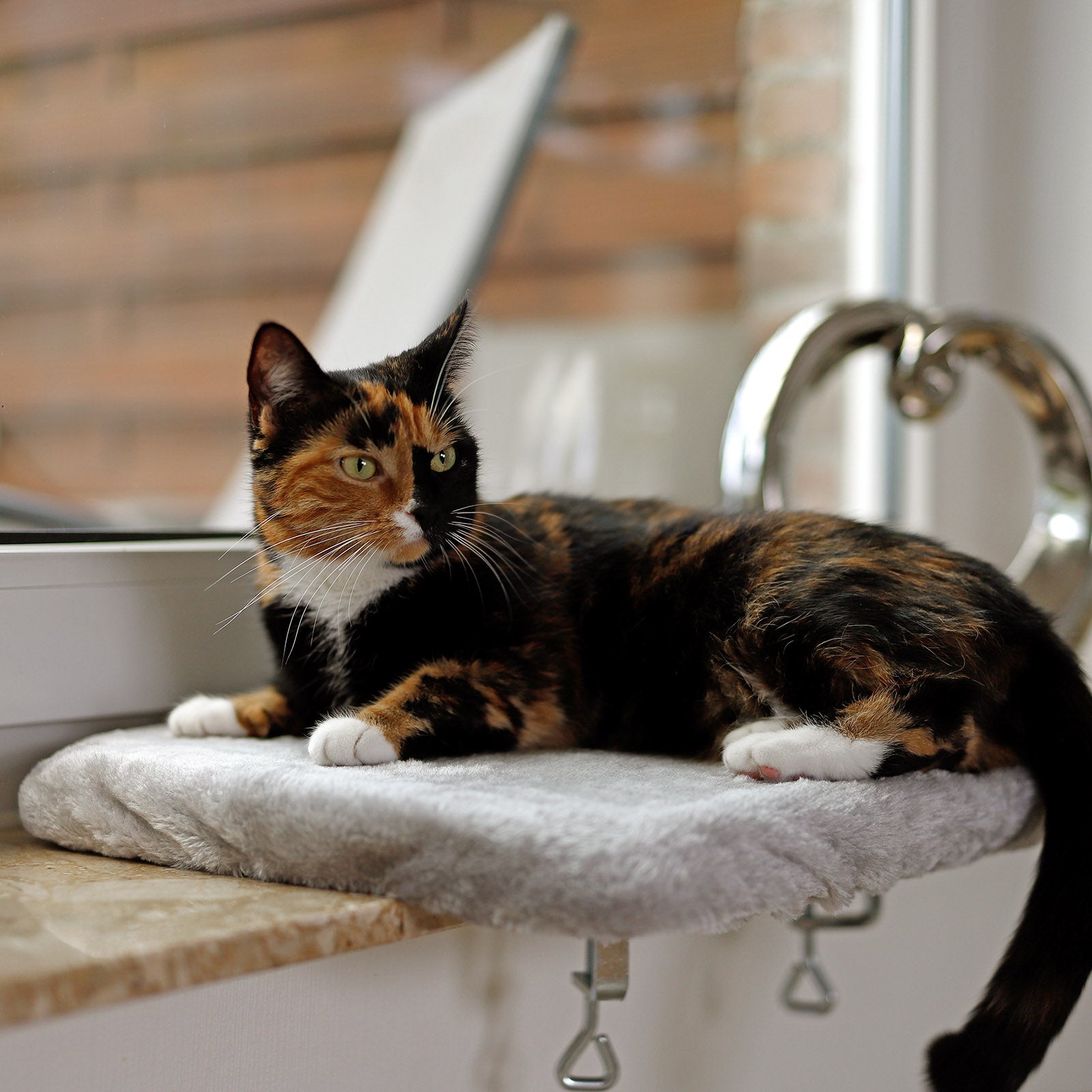 Tumbona para gatos en el alféizar de la ventana