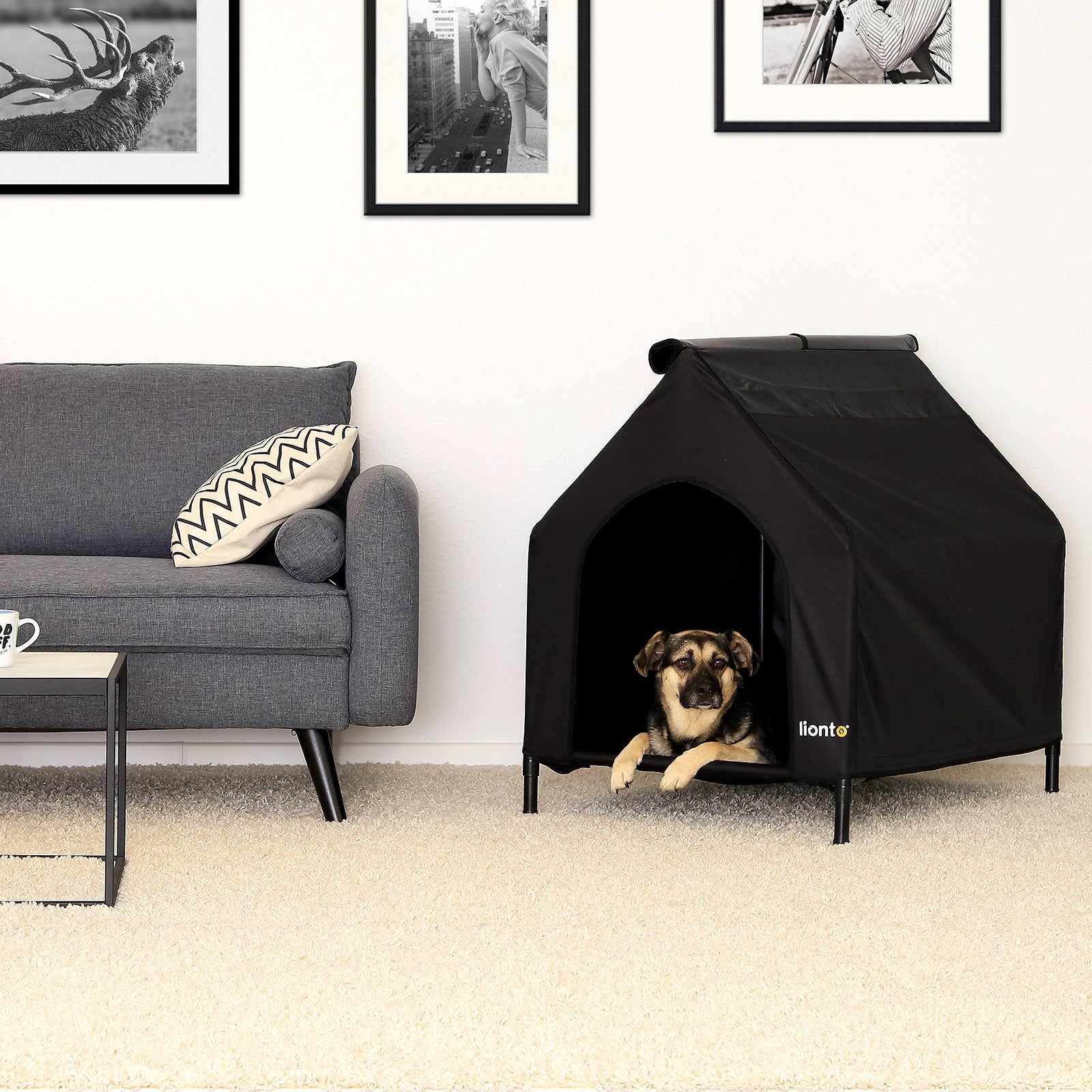 Cama elevada para perros con techo