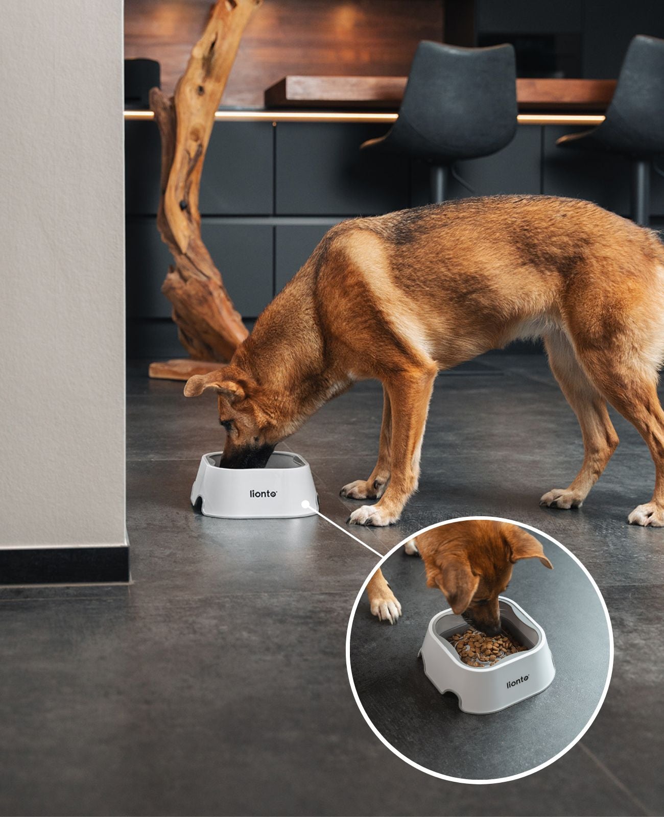 Bebedero Perro a Prueba de Fugas, 1 litro