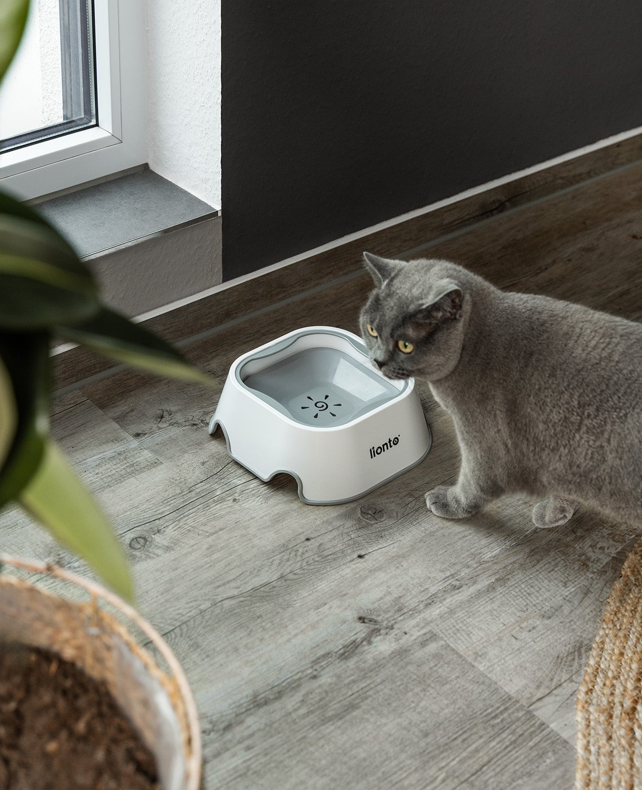 Cuenco antibabas, 1 litro