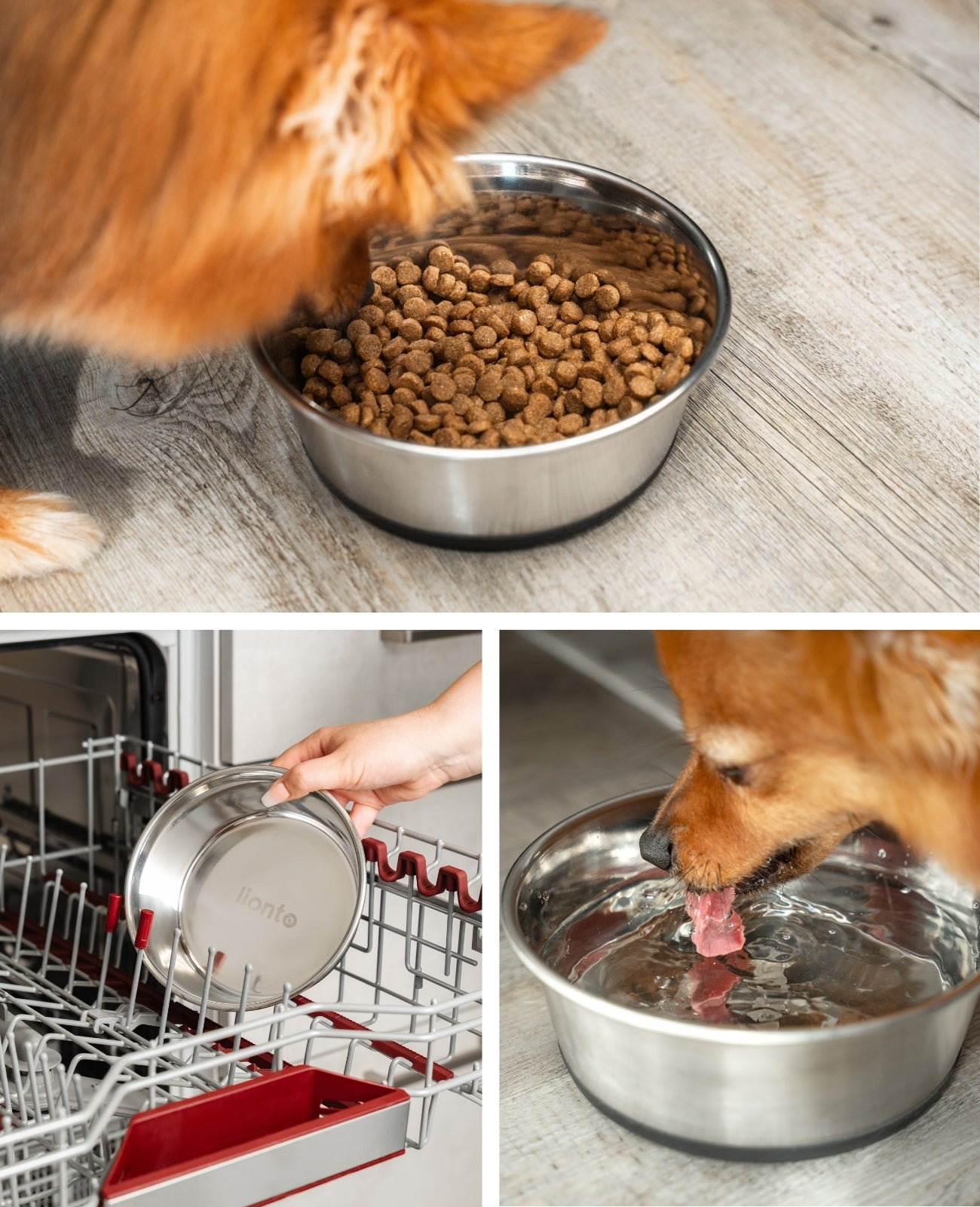 Cuenco para perros antideslizante de acero inoxidable, varios tamaños