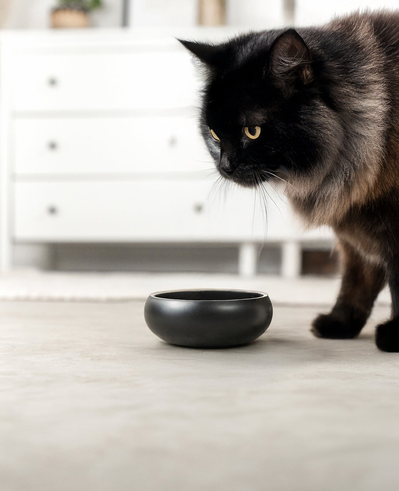 Comedero para gatos de acero inoxidable, con forma de cúpula.