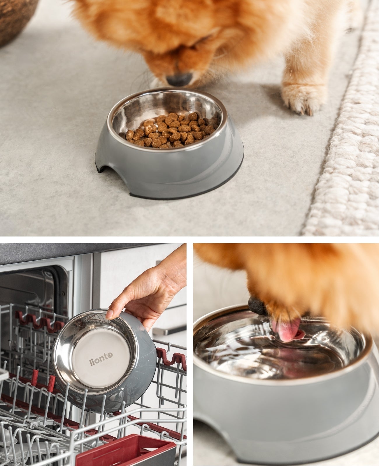 Comedero de melamina con base antideslizante