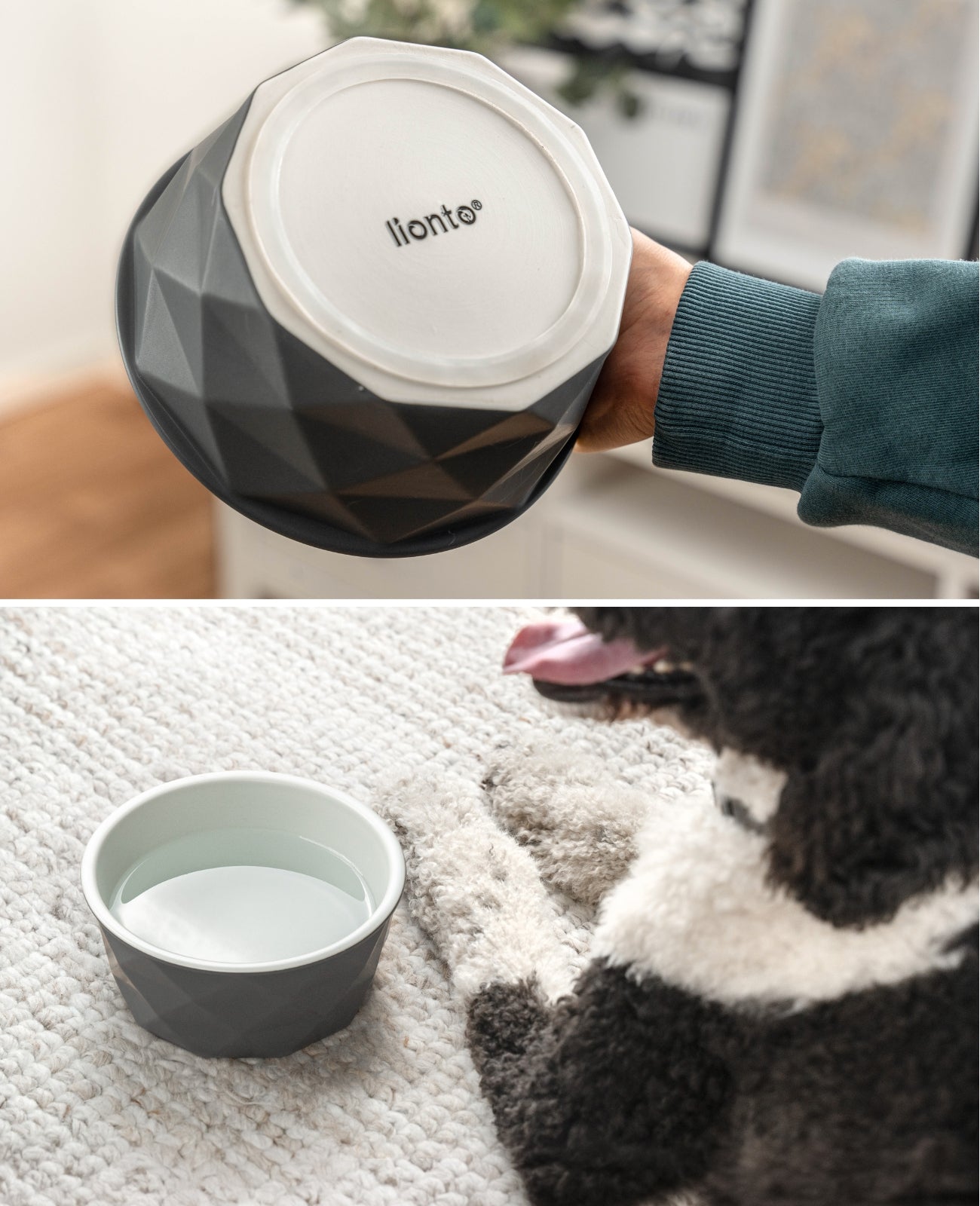 Cuenco de cerámica para perros