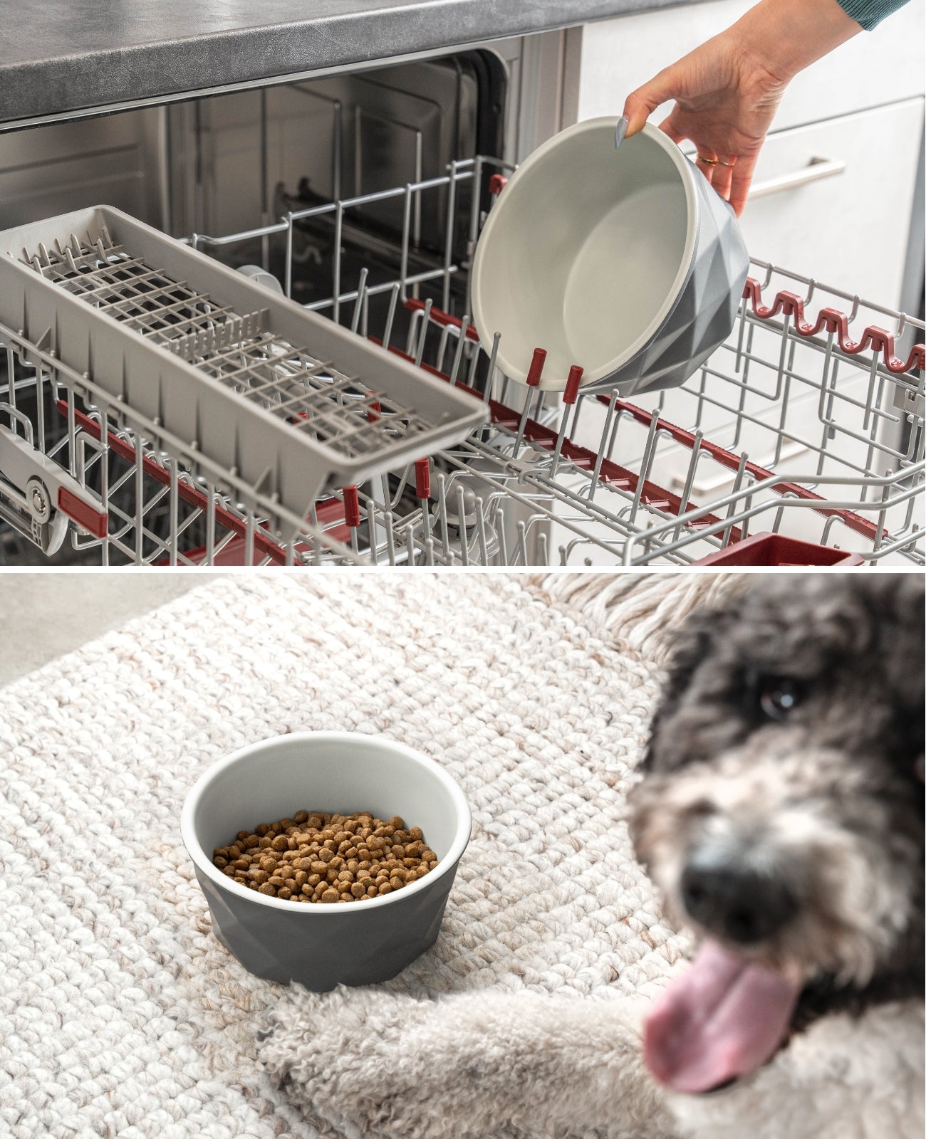 Cuenco de cerámica para perros