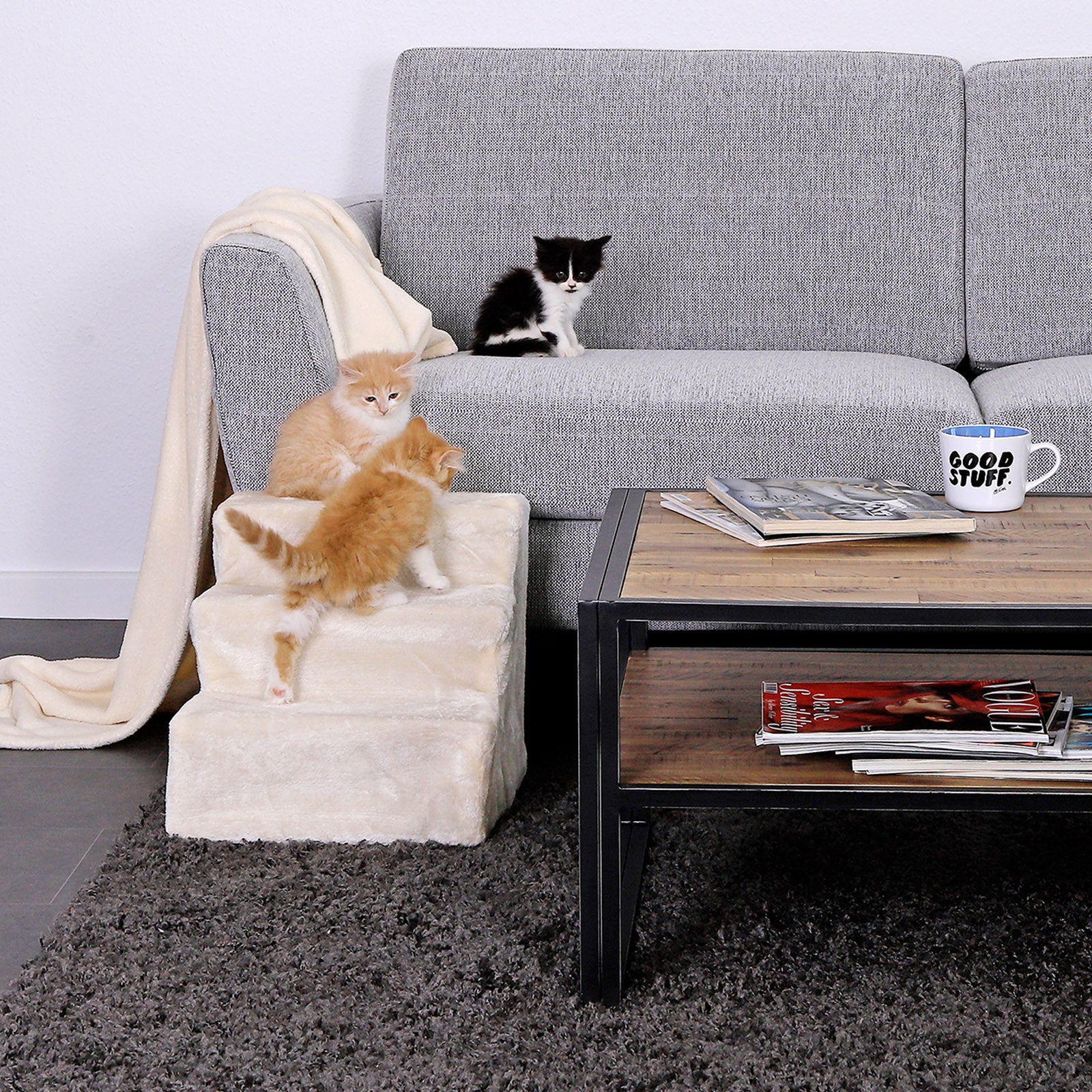 zwei Katzen steigen beige Haustiertreppe hoch zur Couch, auf der ein weiteres Kätzchen sitzt