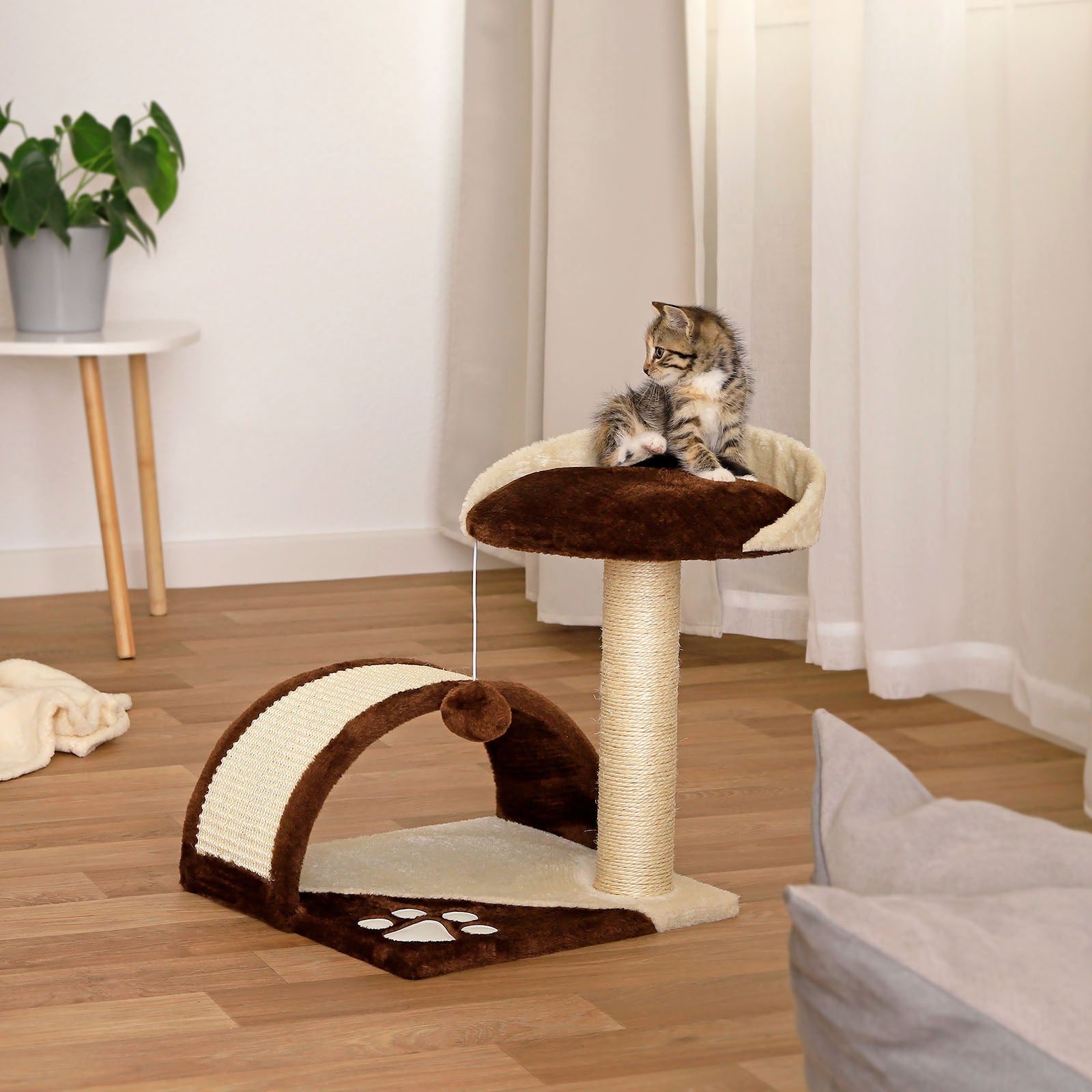 Poste rascador para gatos altura 43 cm