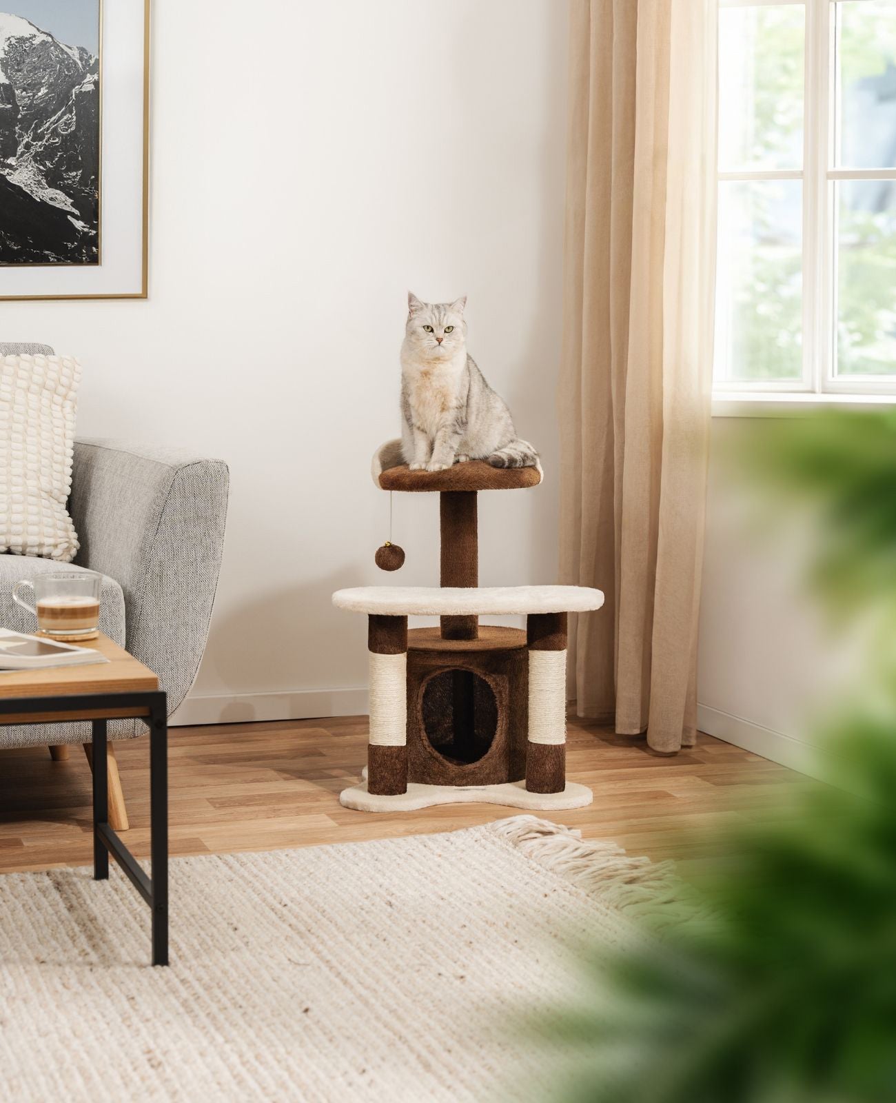 Poste rascador para gatos altura 65 cm