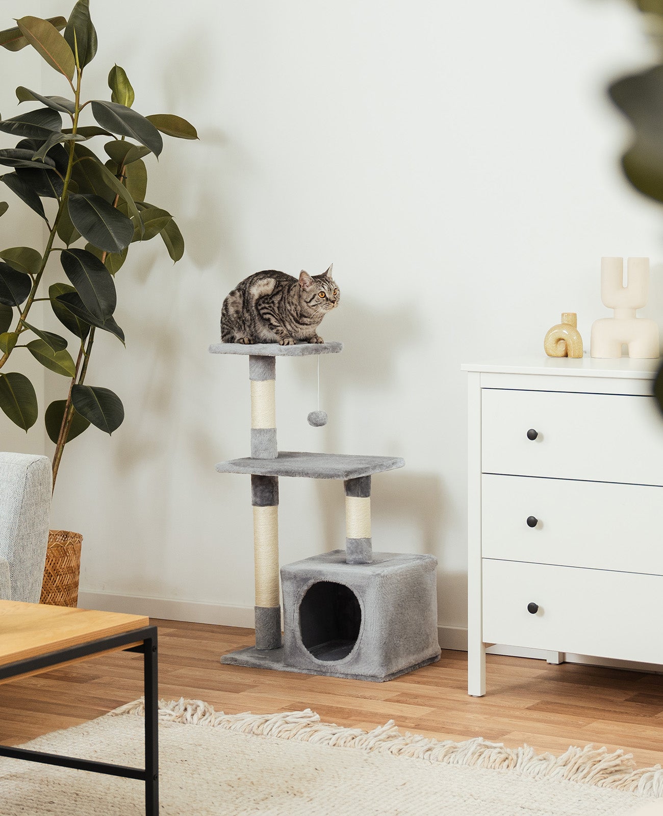 Árbol rascador para gatos árbol para escalar altura 85 cm varios colores