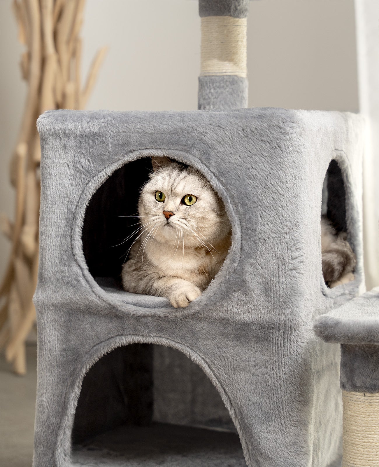 Poste rascador para gatos, 80 cm