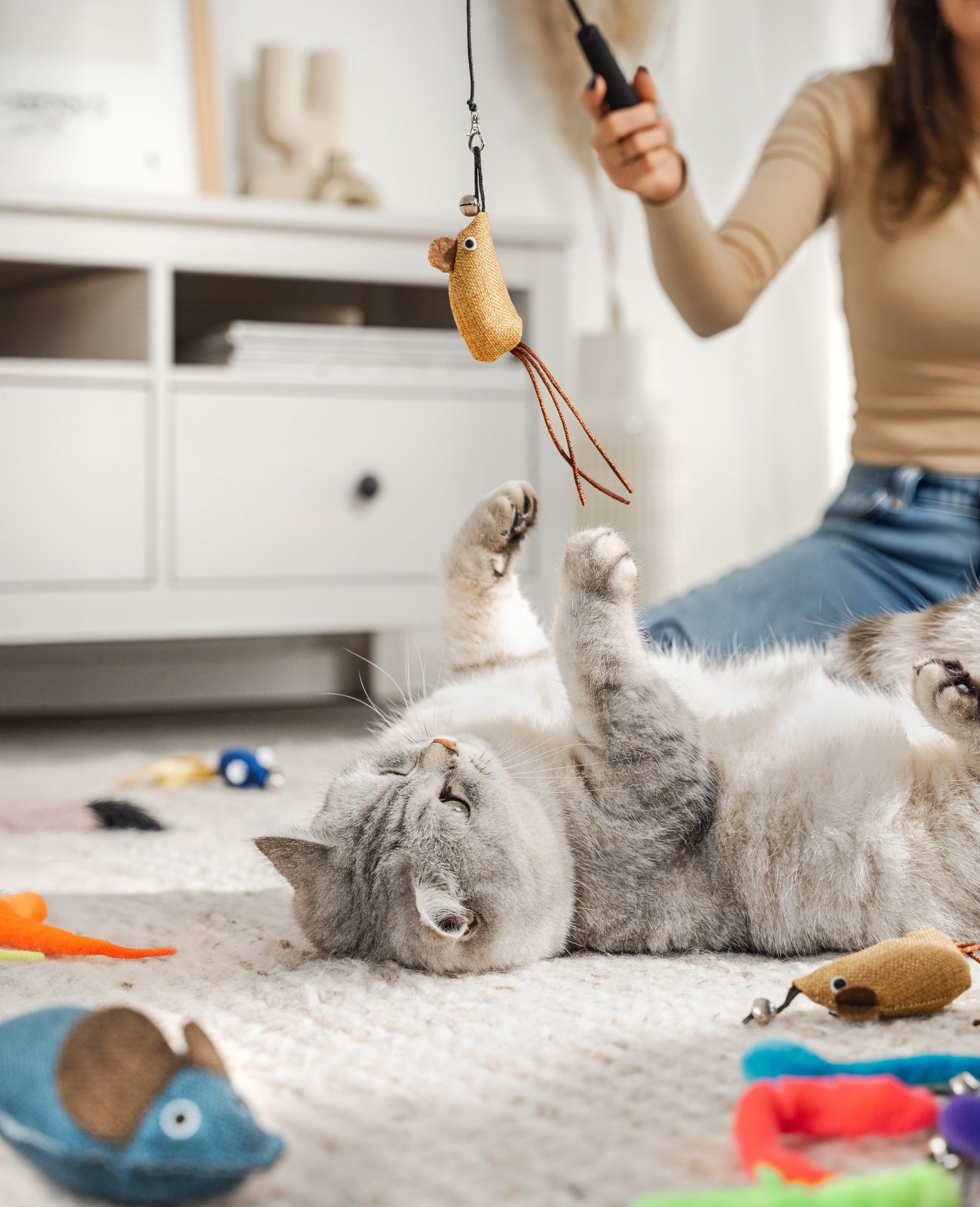 Juego de juguetes para gatos, 14 piezas