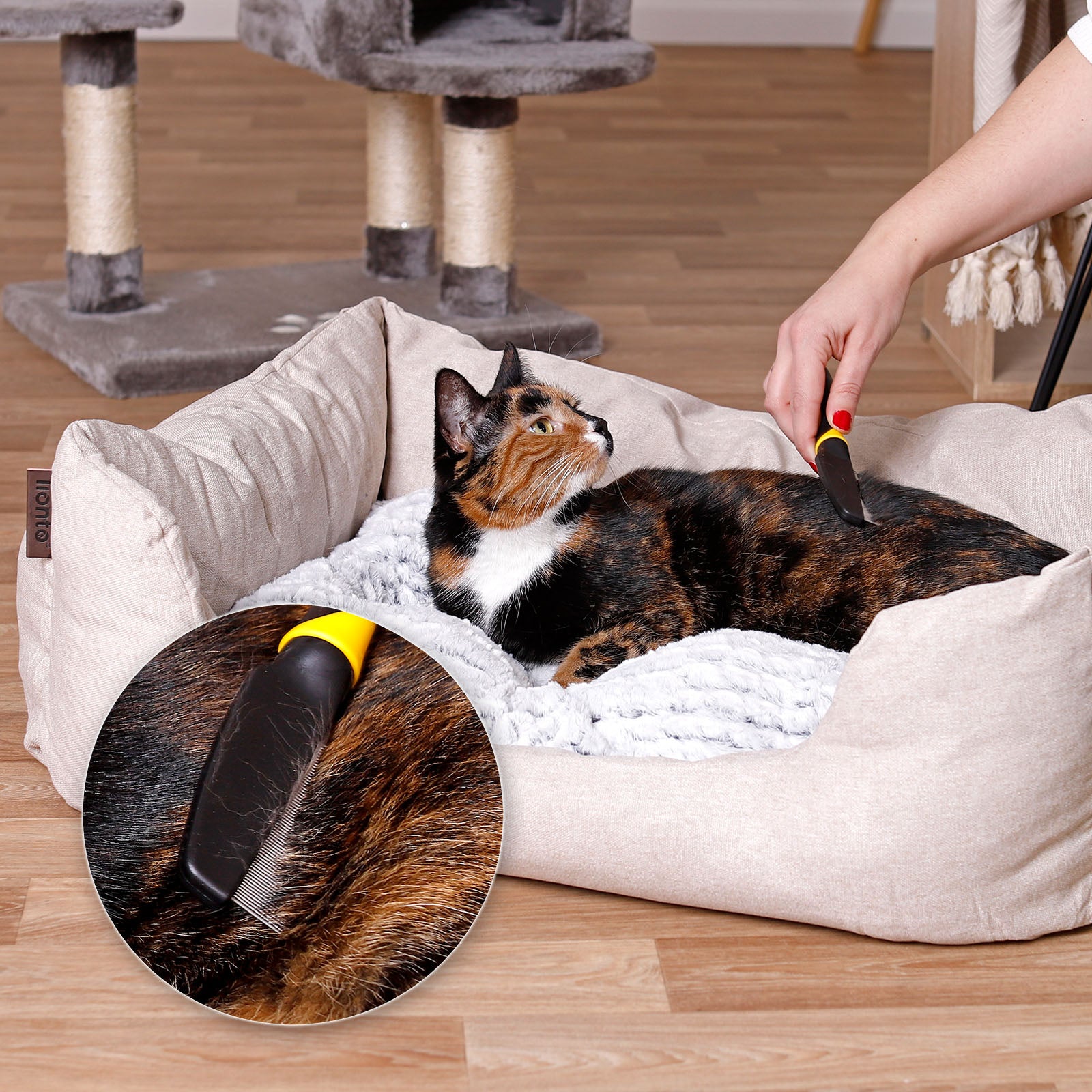 Cepillos para gatos para el aseo