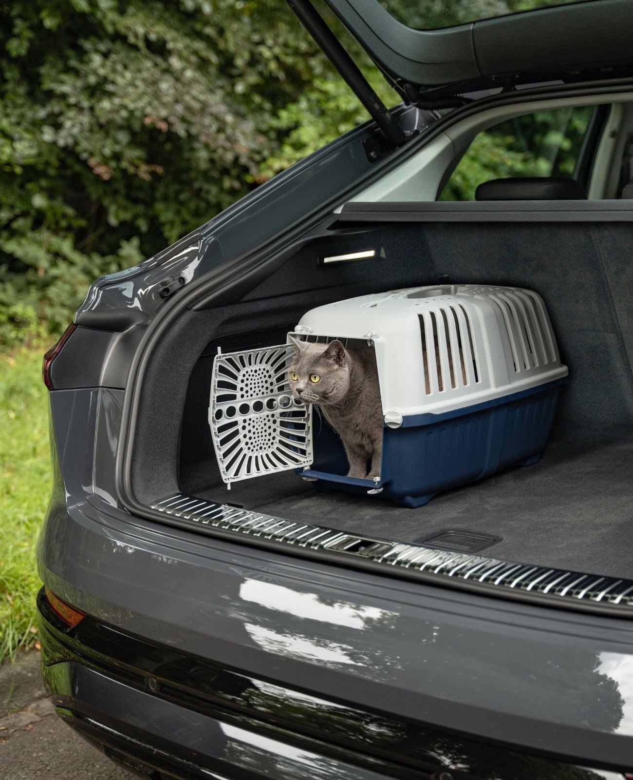 Caja de transporte para gatos de plástico