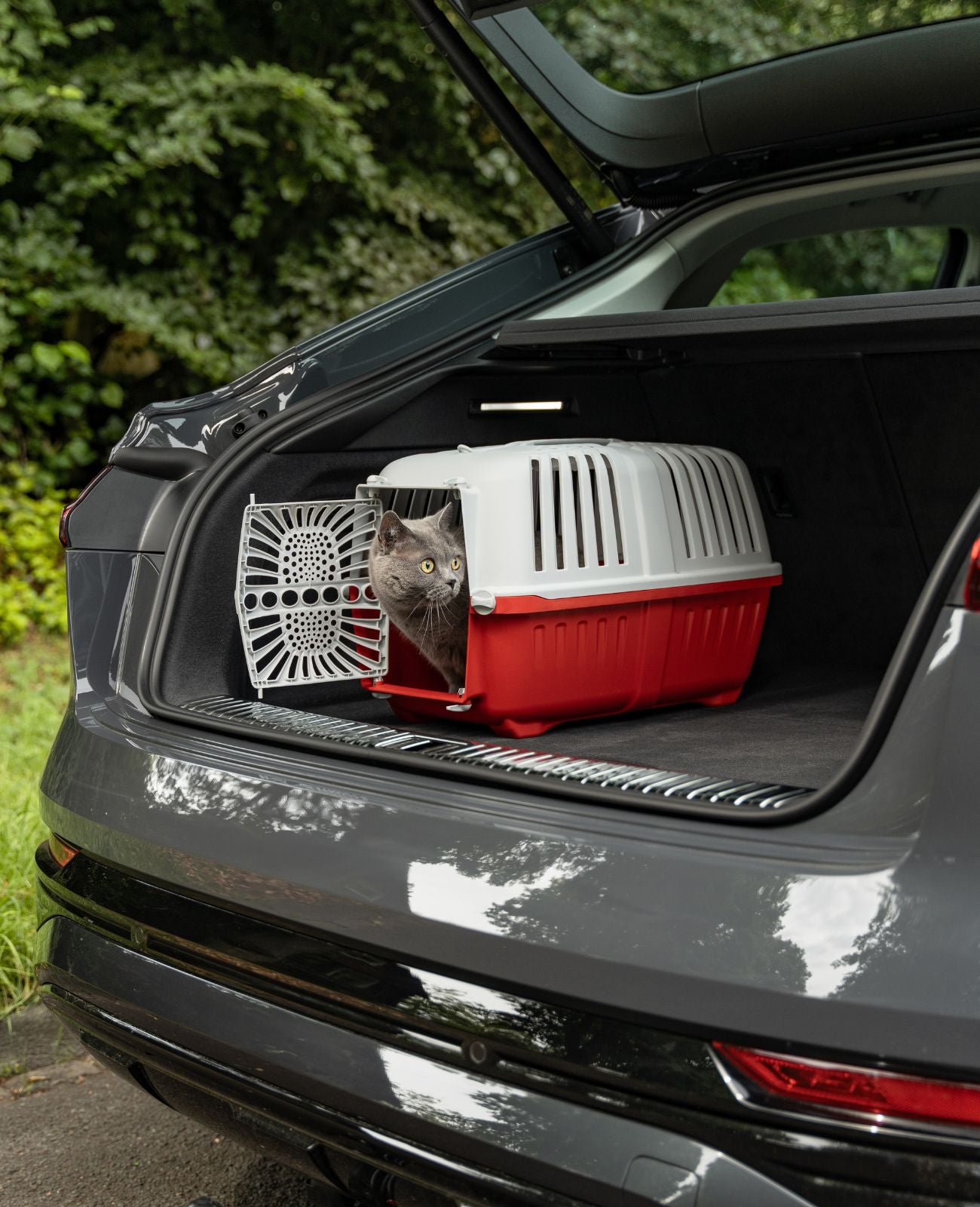Caja de transporte para gatos de plástico