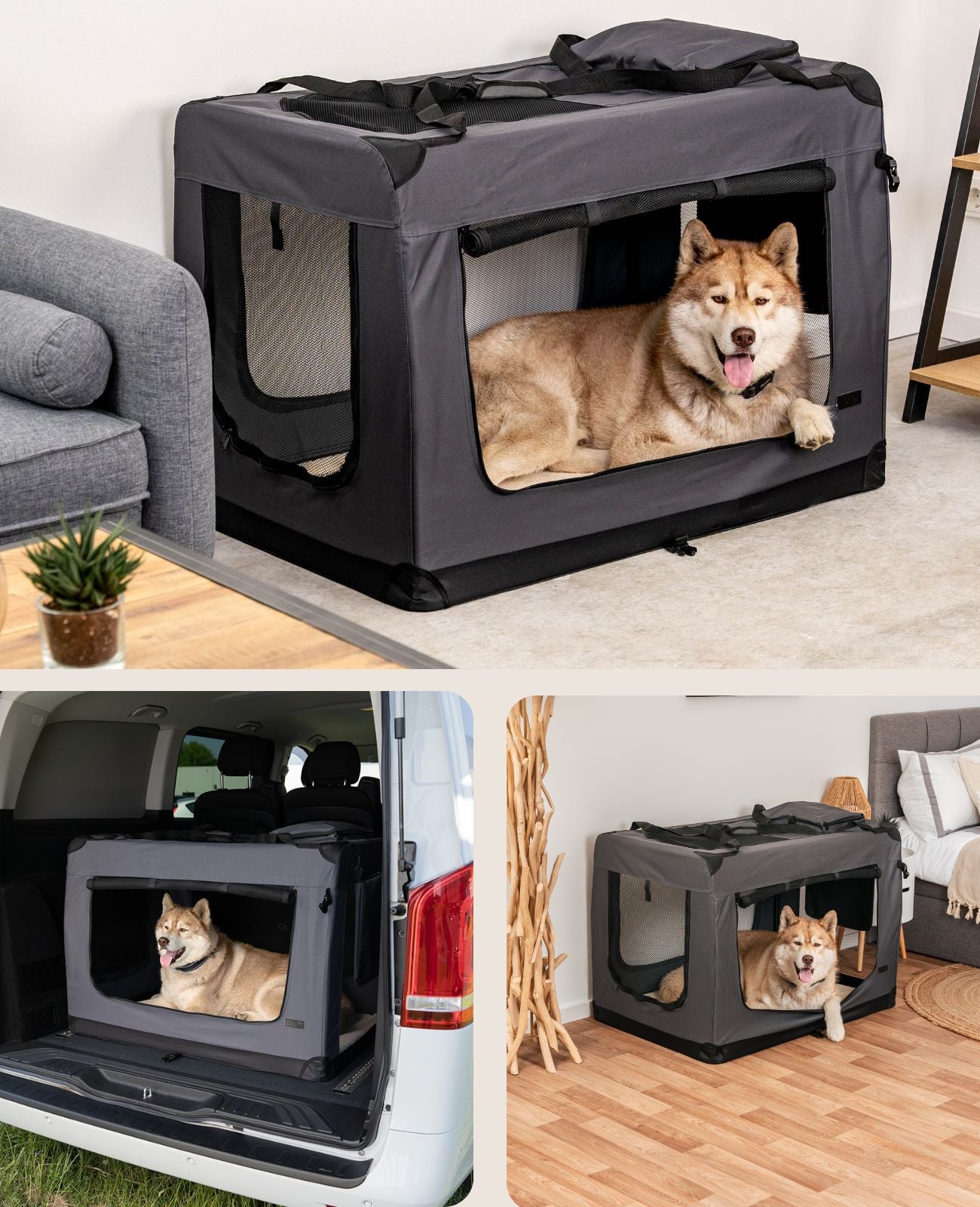 Zusammenklappbare Hundetransportkiste