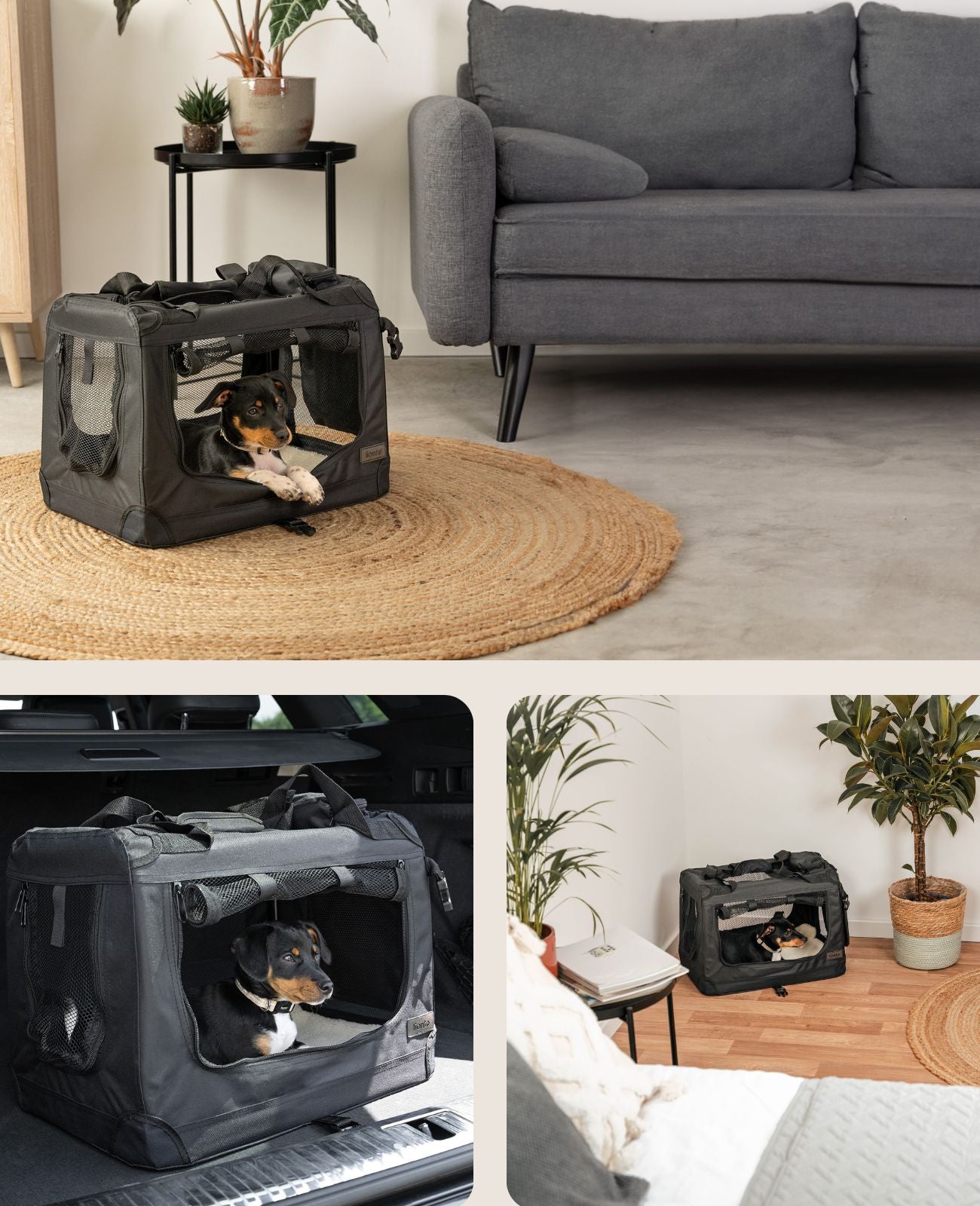 Zusammenklappbare Hundetransportkiste