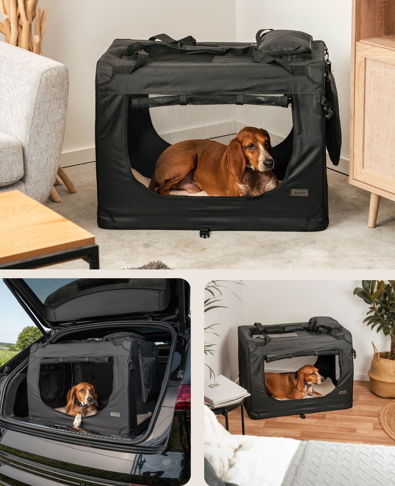 Zusammenklappbare Hundetransportkiste