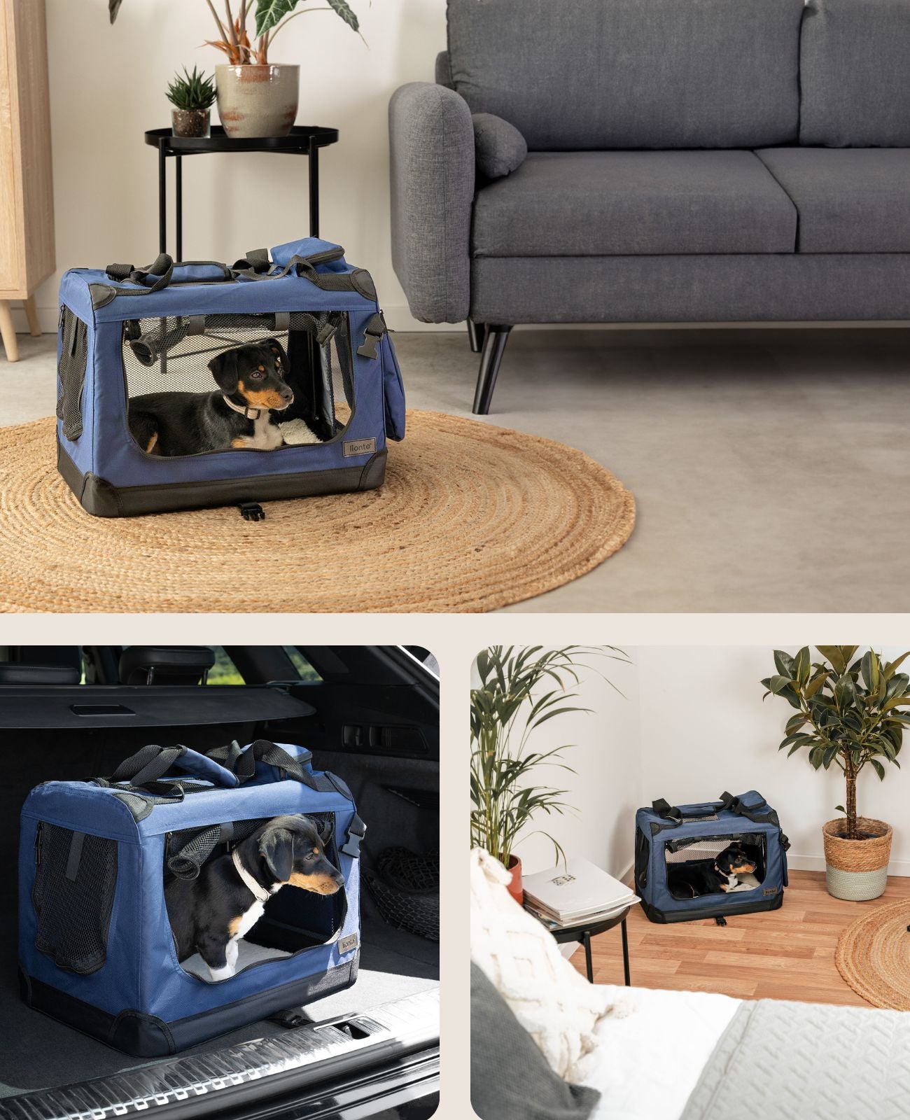 Zusammenklappbare Hundetransportkiste
