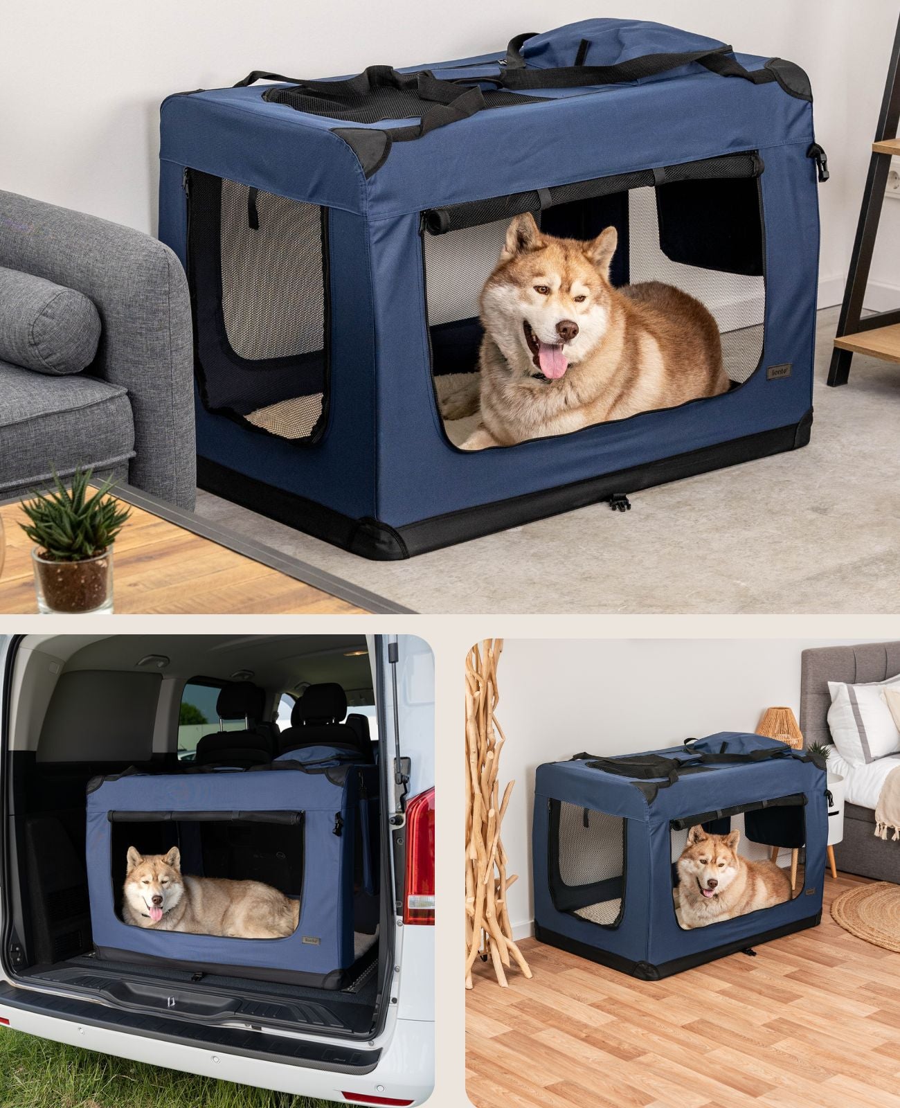 Zusammenklappbare Hundetransportkiste