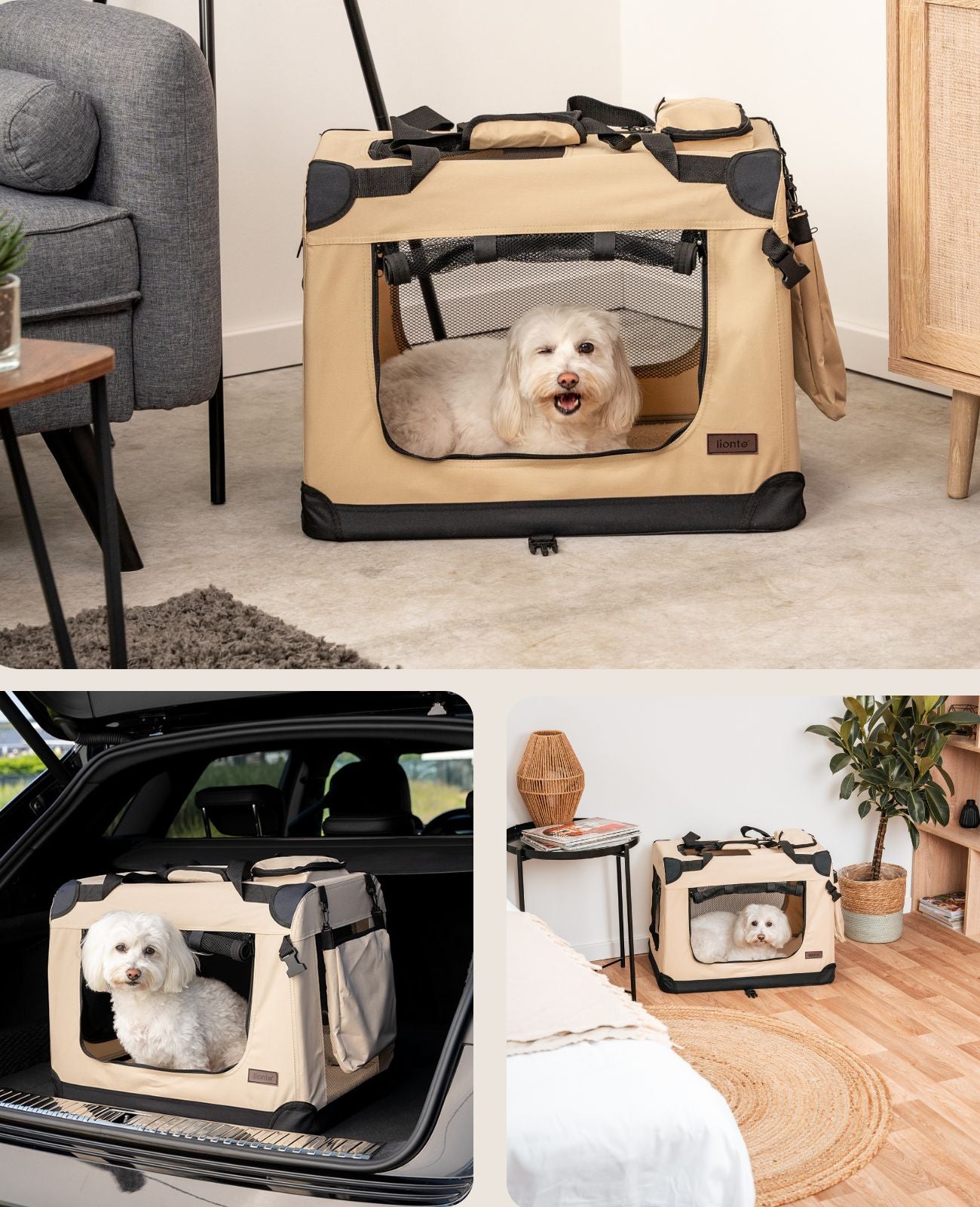 Zusammenklappbare Hundetransportkiste