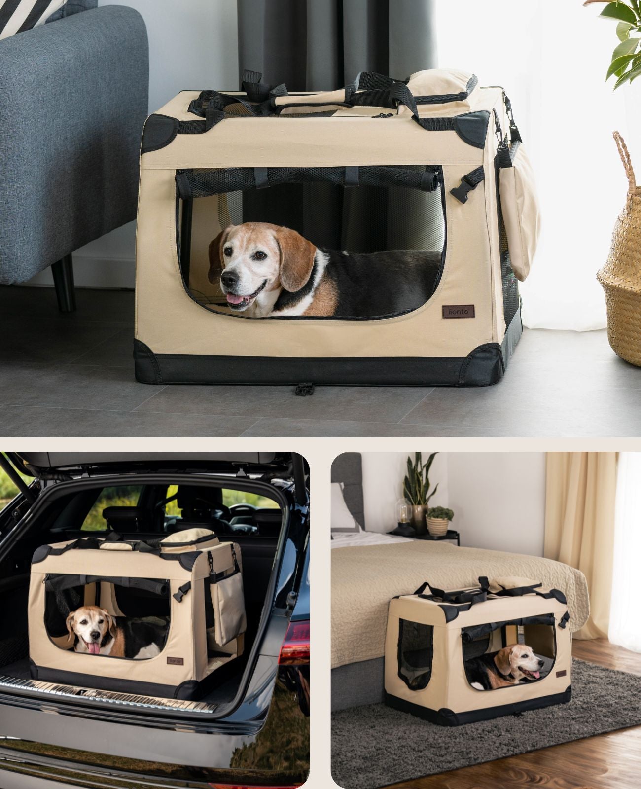 Zusammenklappbare Hundetransportkiste