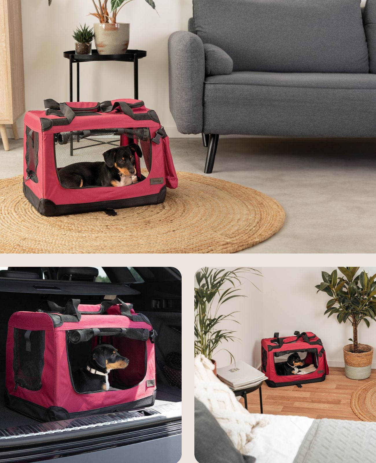 Zusammenklappbare Hundetransportkiste