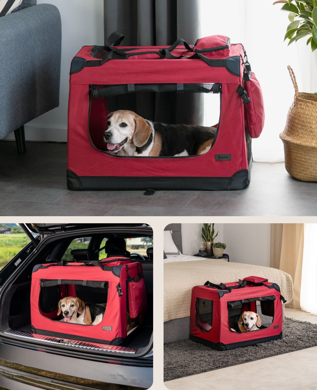 Zusammenklappbare Hundetransportkiste