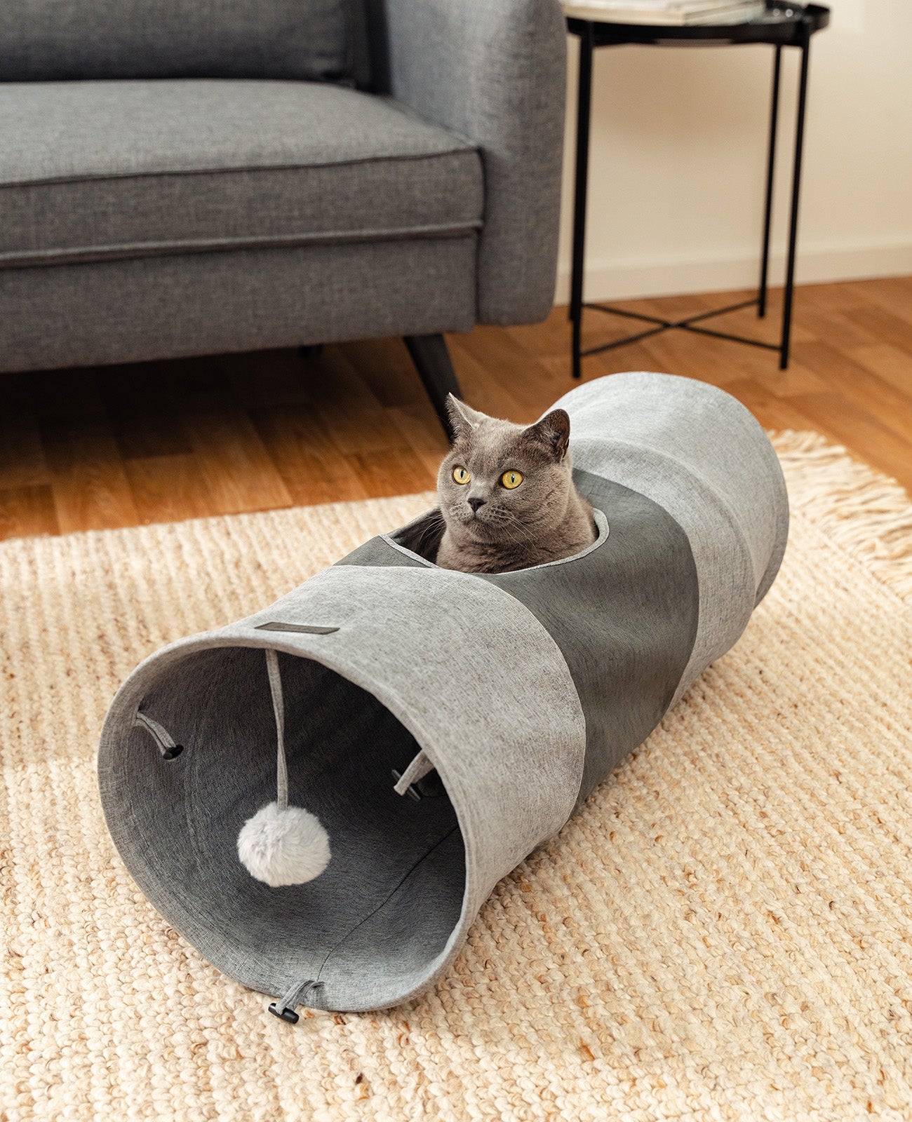 Túnel para gatos con pelota de juego.
