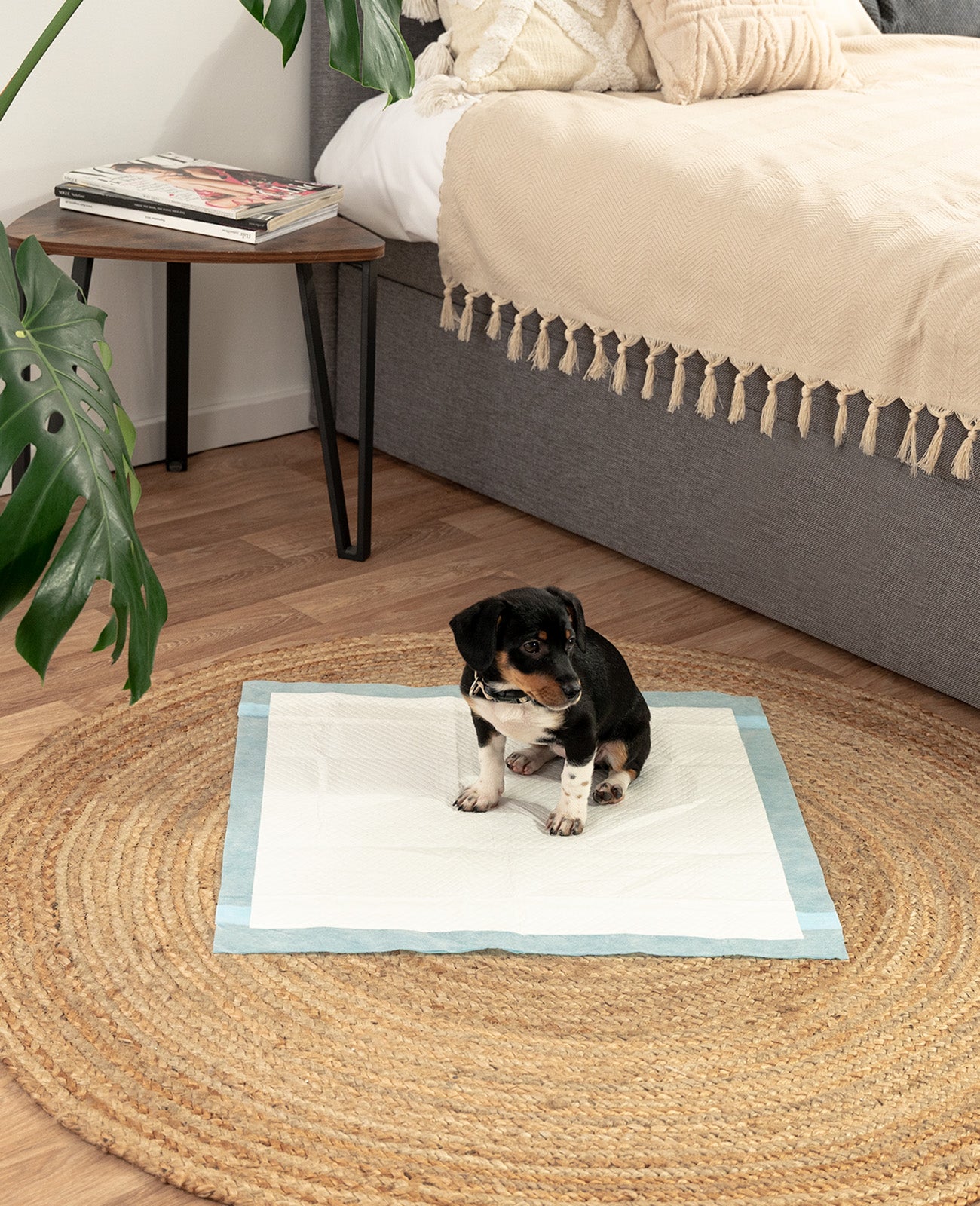 Almohadilla para cachorros de diferentes tamaños