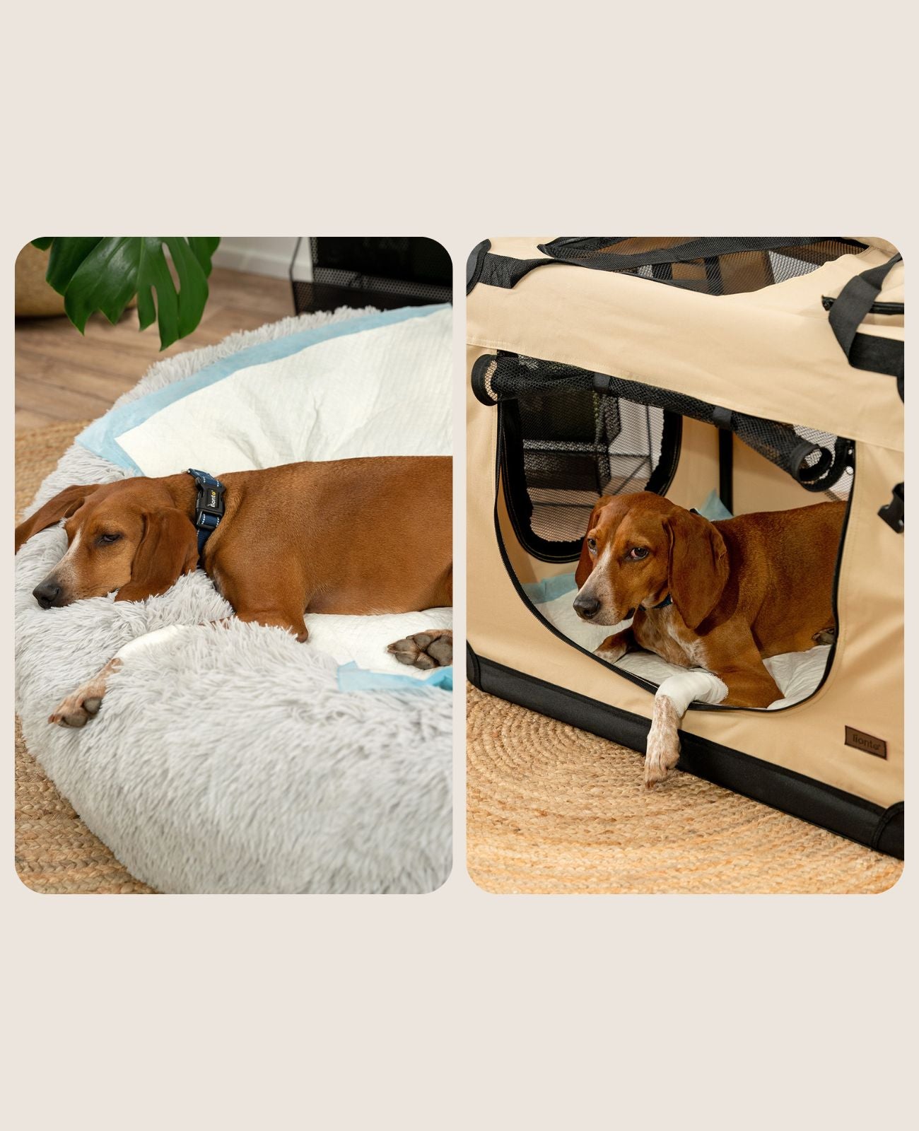 Almohadilla para cachorros de diferentes tamaños