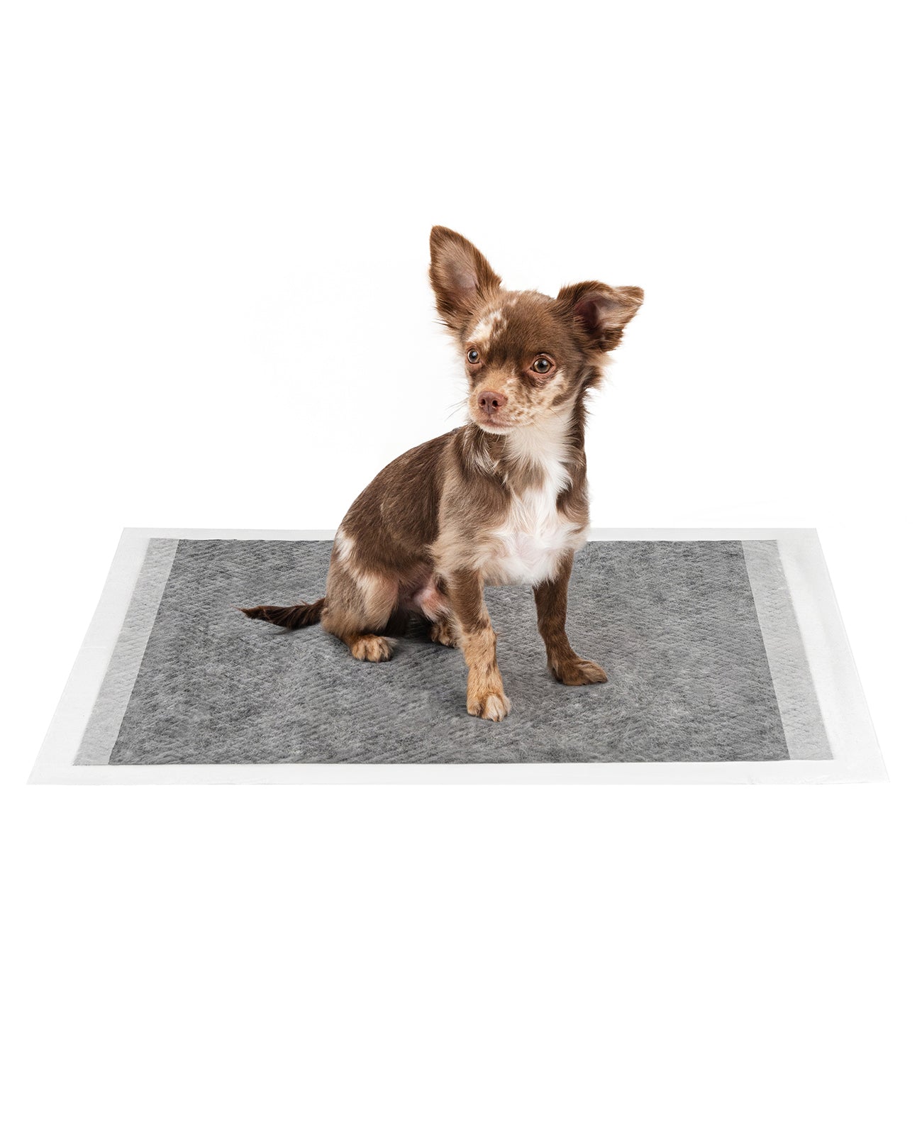 lionto Alfombrilla higiénica para cachorros, 6 capas, muchas versiones