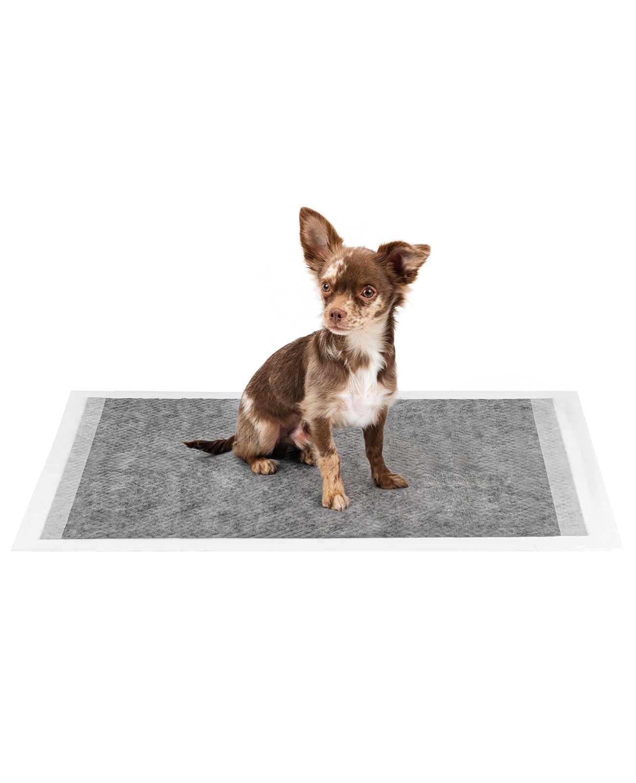 lionto Alfombrilla higiénica para cachorros, 6 capas, muchas versiones