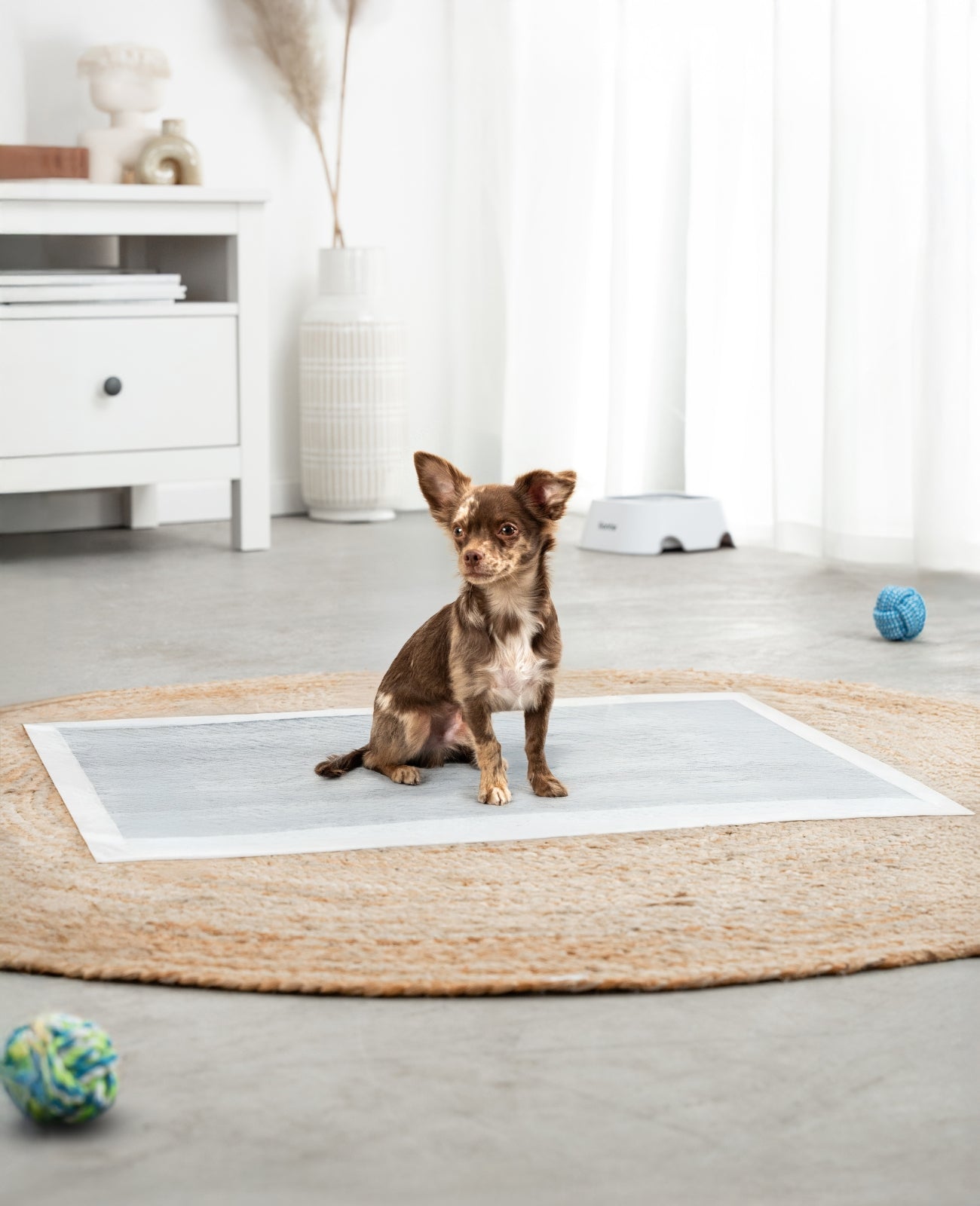 lionto Alfombrilla higiénica para cachorros, 6 capas, muchas versiones