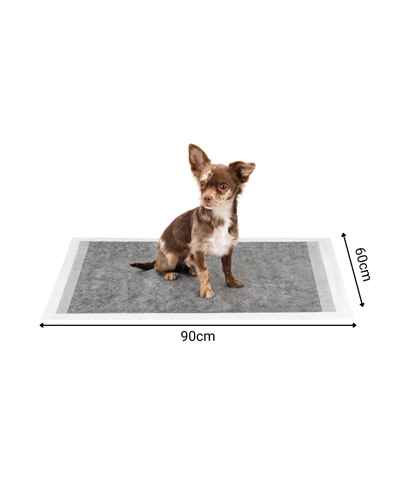 lionto Alfombrilla higiénica para cachorros, 6 capas, muchas versiones