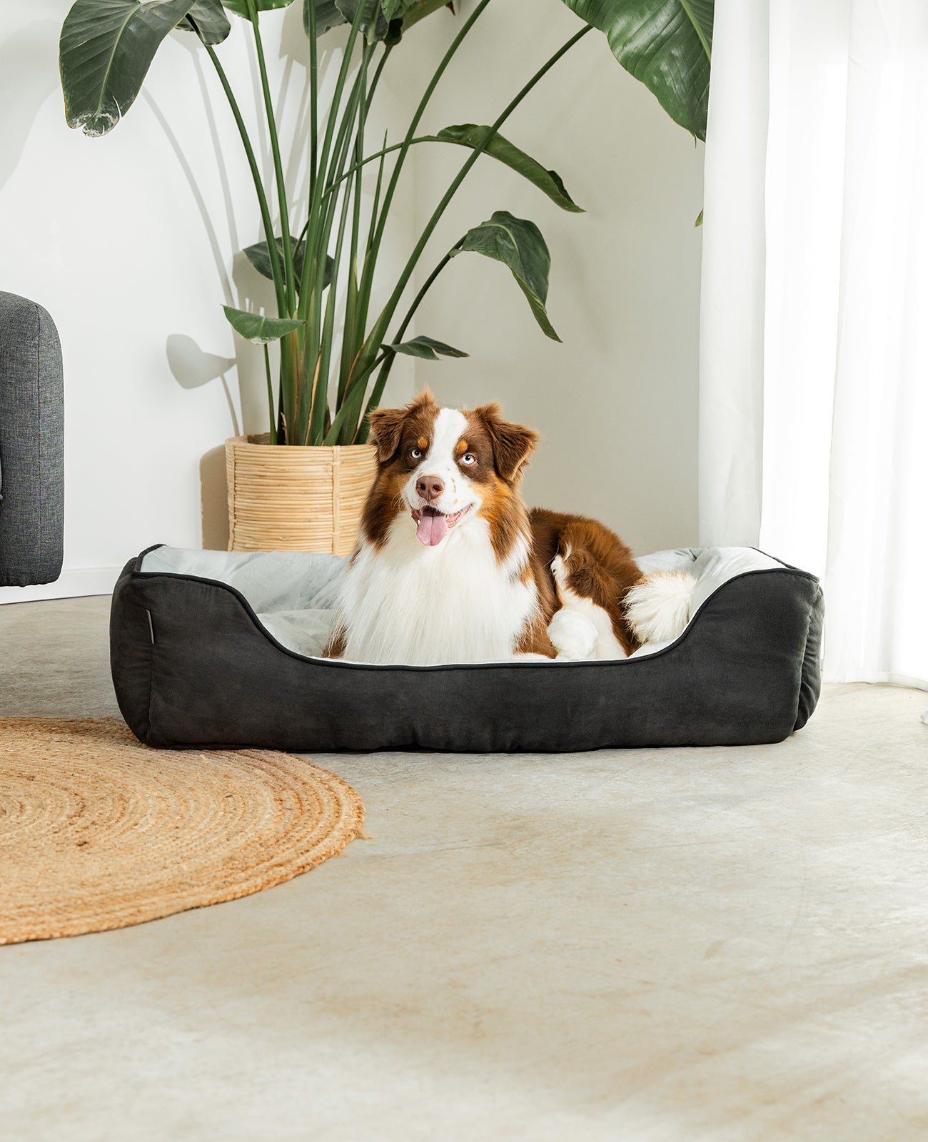 Cama para perros 2 en 1 con aspecto de ante