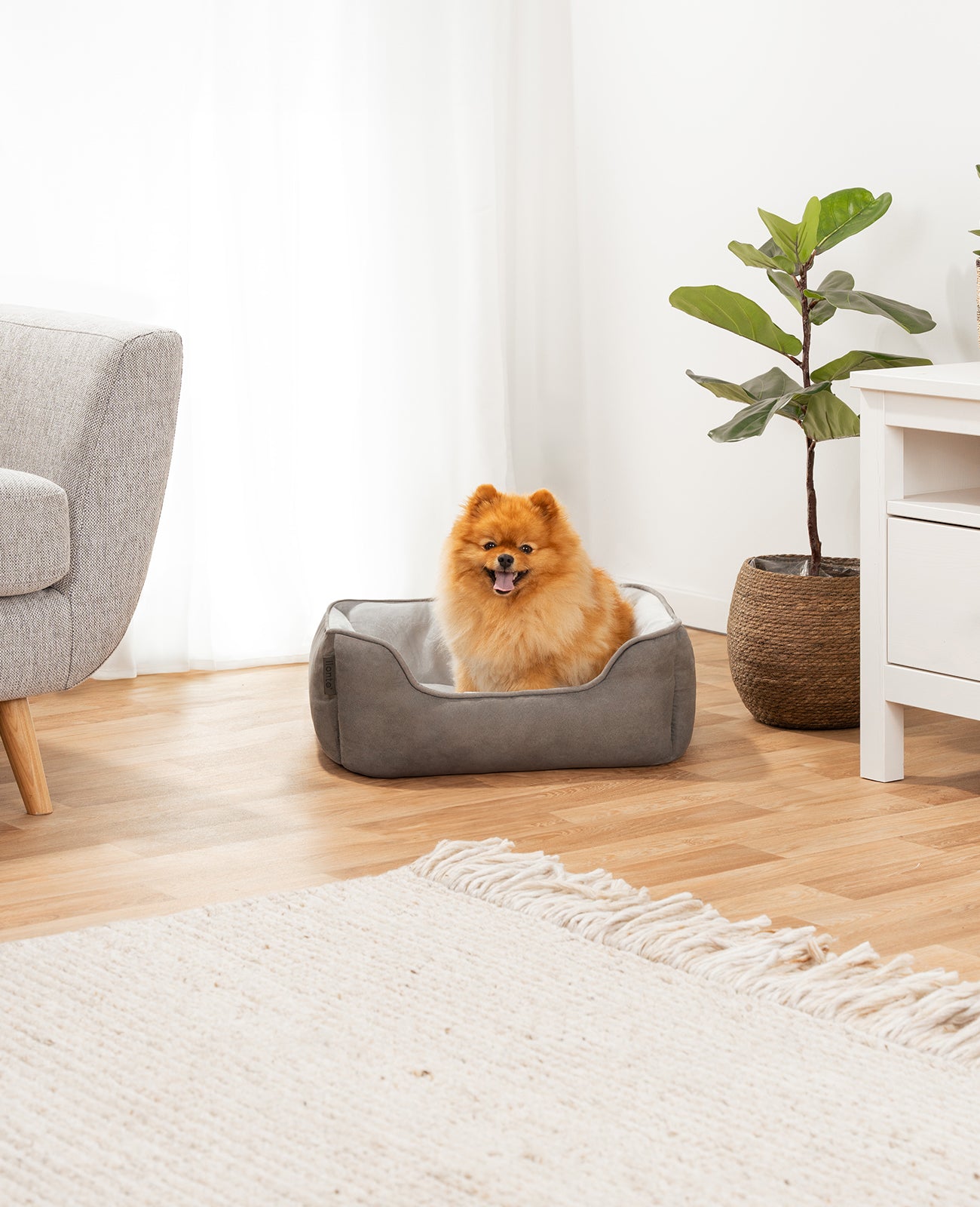 Cama para perros 2 en 1 con aspecto de ante