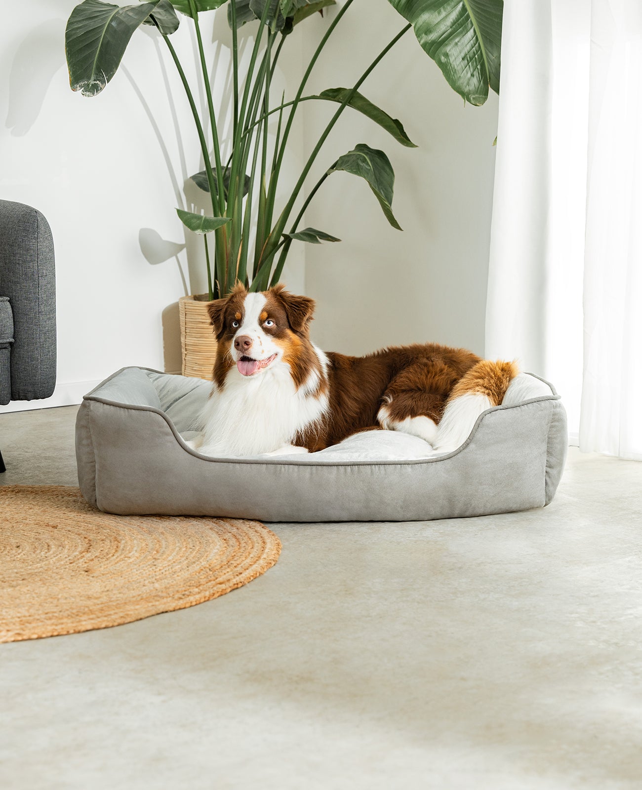 Cama para perros 2 en 1 con aspecto de ante