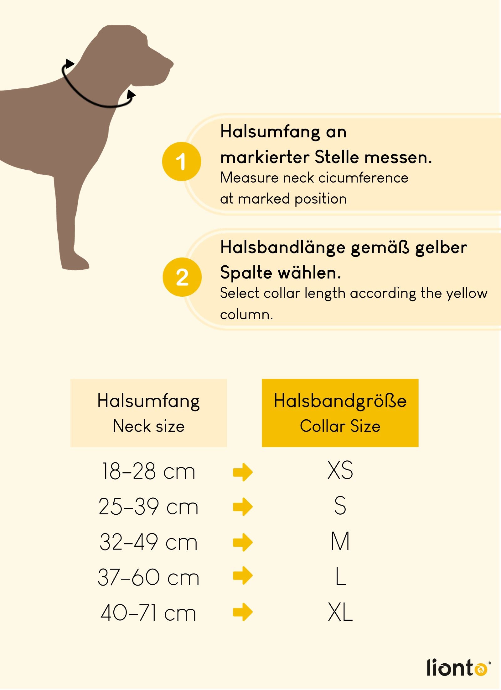 Collar de perro acolchado, personalizado