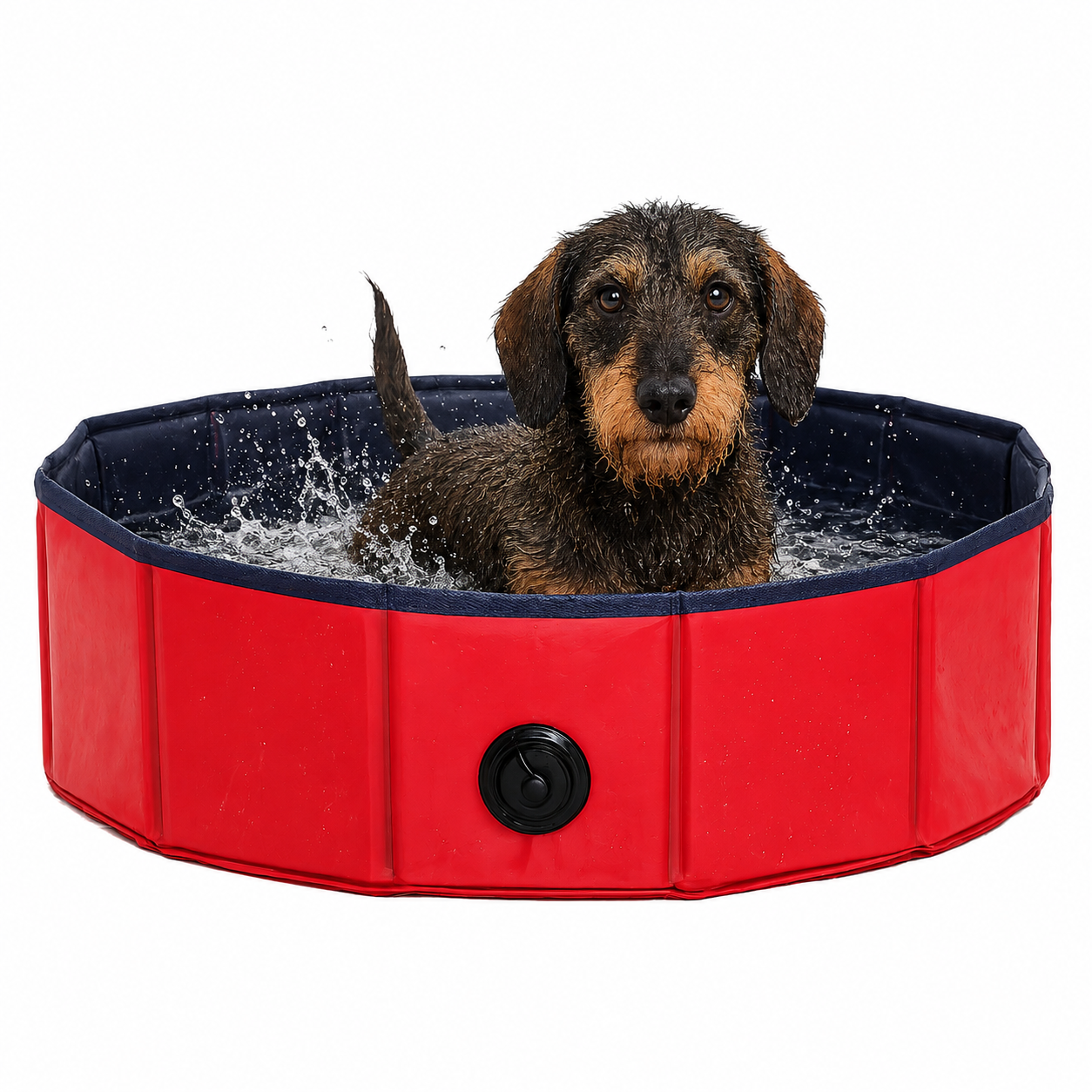 Piscina para perros plegable