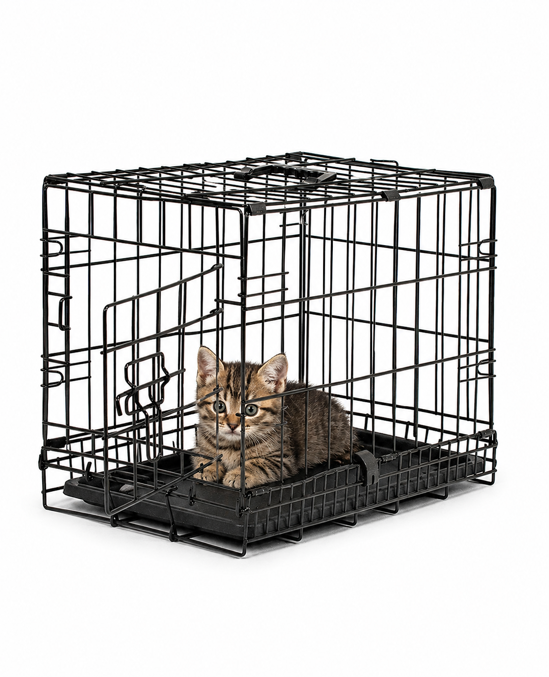 Jaula de transporte para gatos con bandeja base