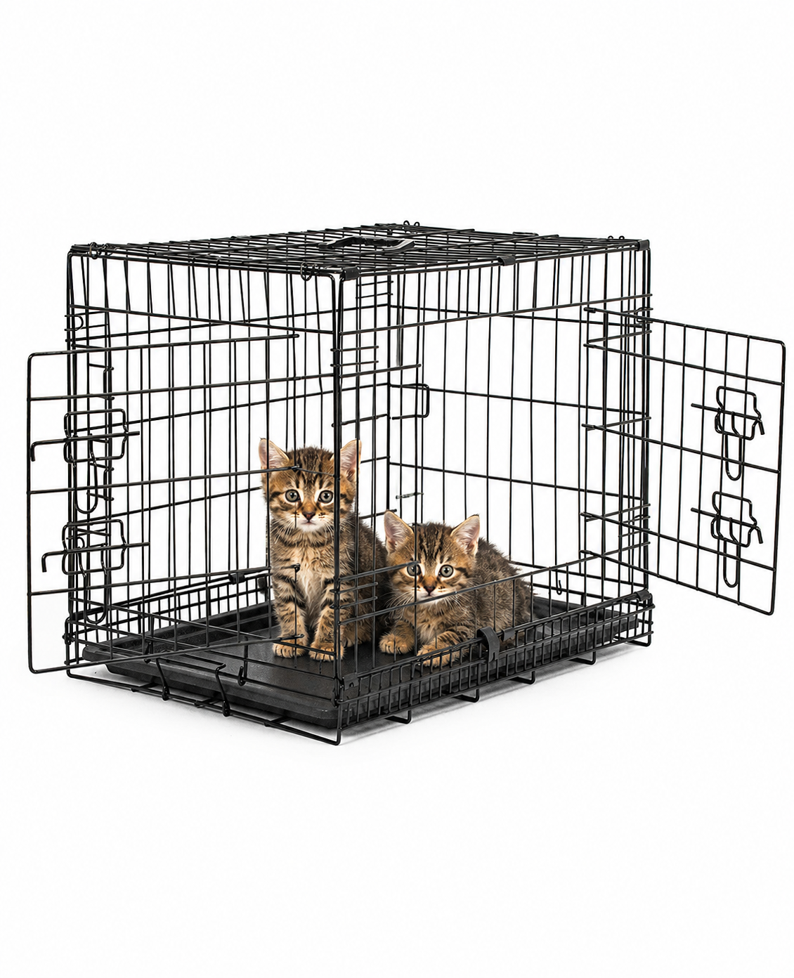 Jaula de transporte para gatos con bandeja base