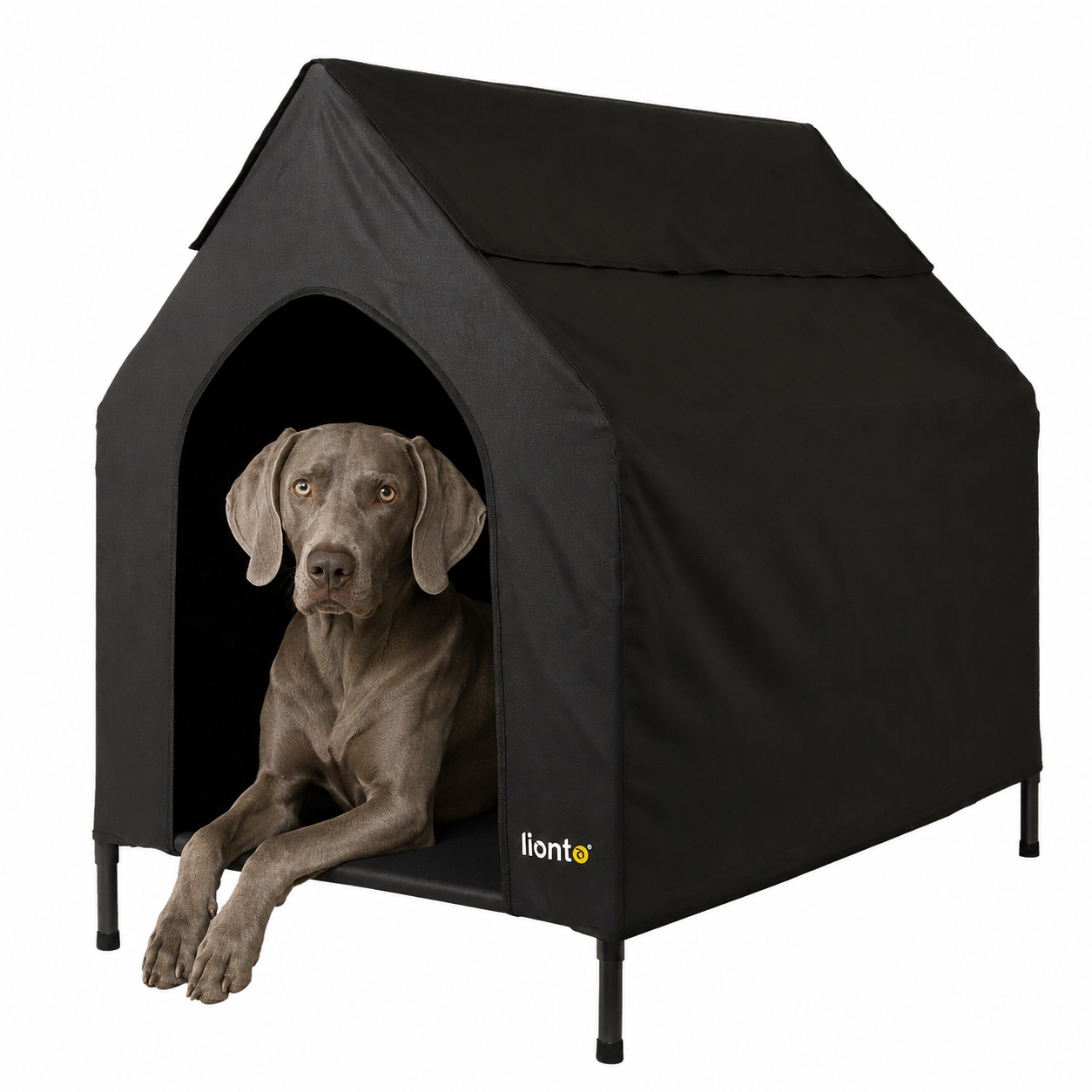Cama elevada para perros con techo