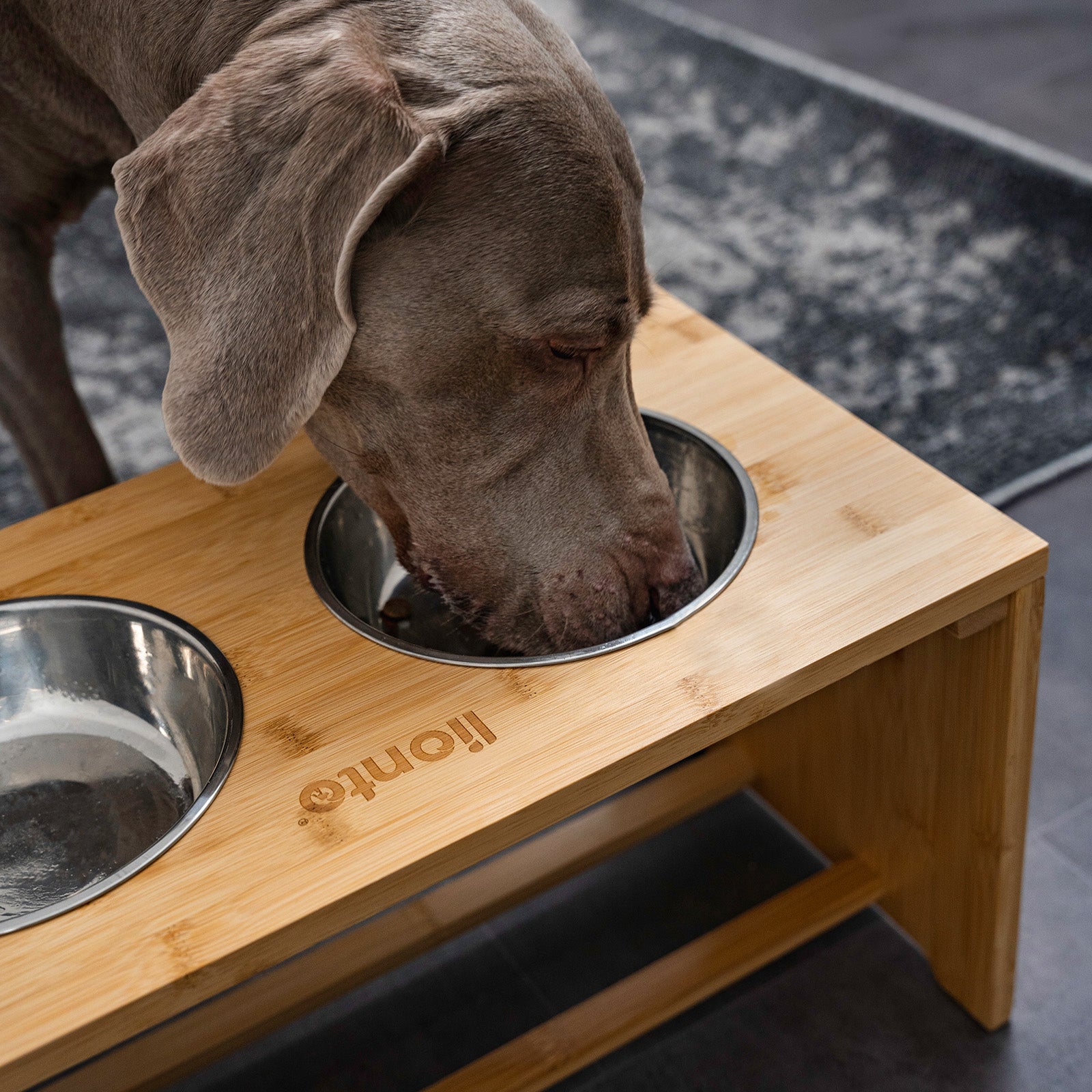 Estación de alimentación de bambú elevada