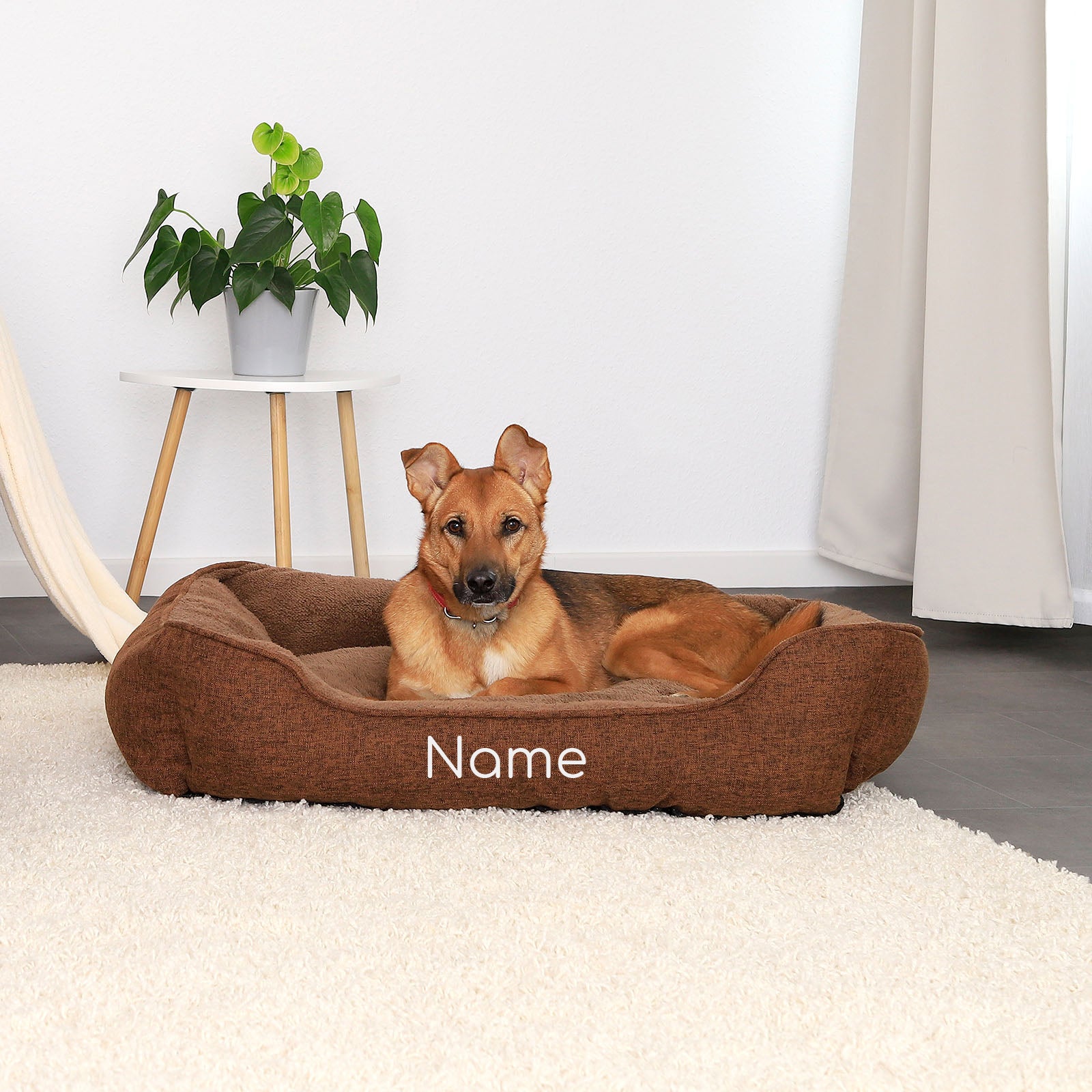 Cama para mascotas moteada, personalizada