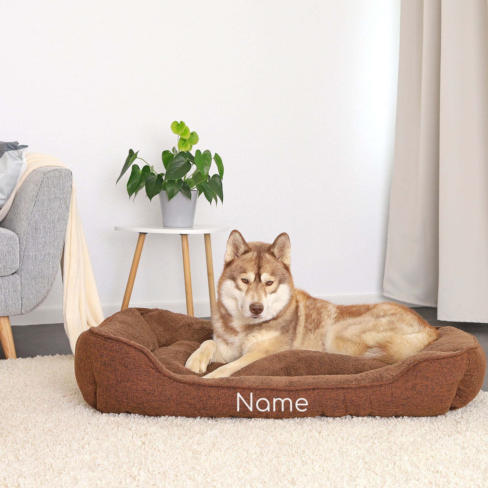 Cama para mascotas moteada, personalizada