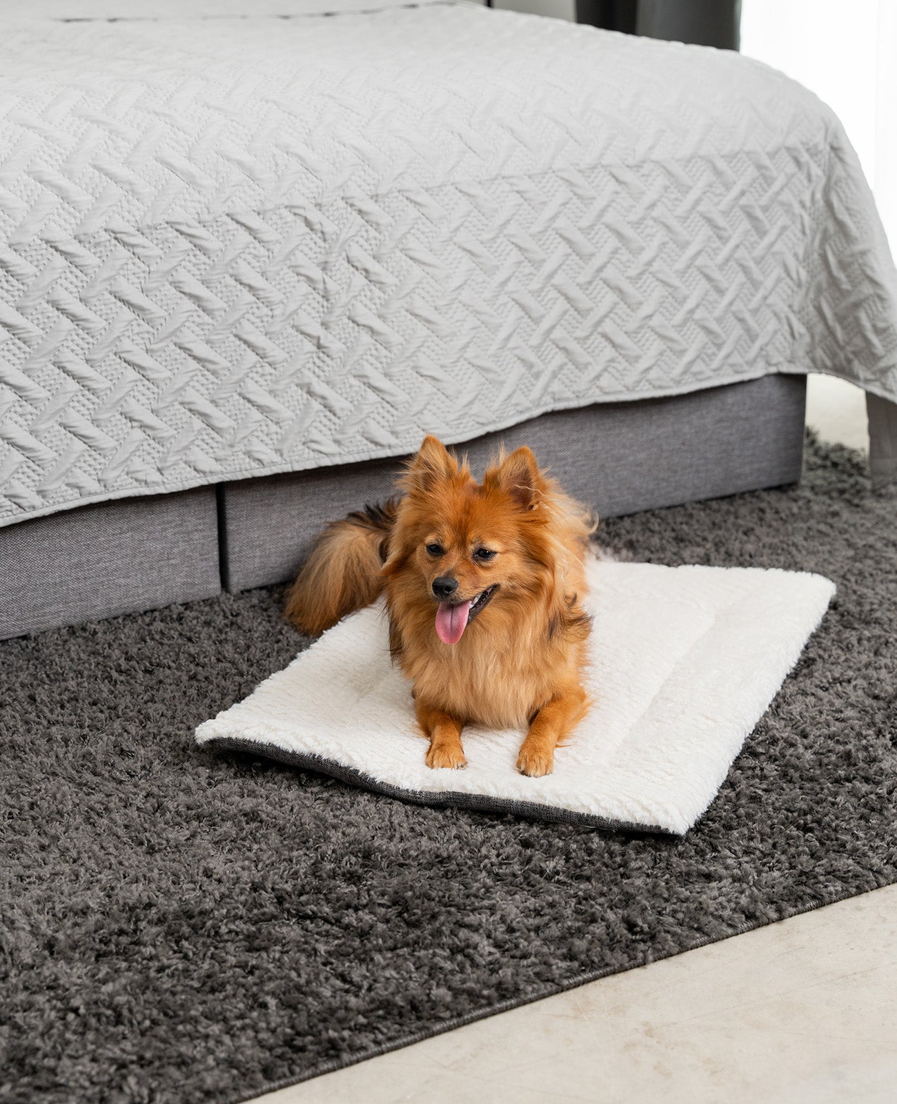 Manta reversible para perros