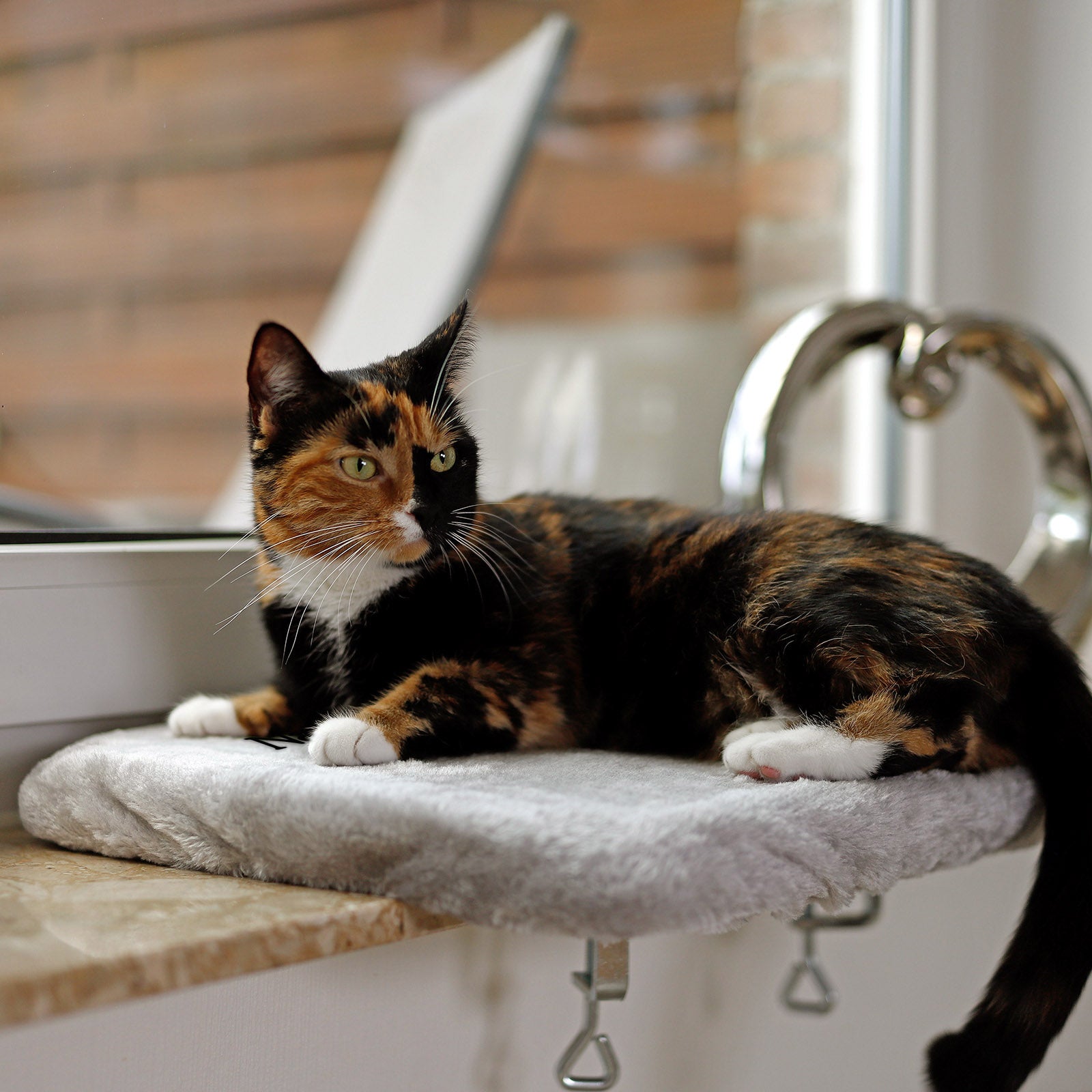 Tumbona para gatos, personalizada
