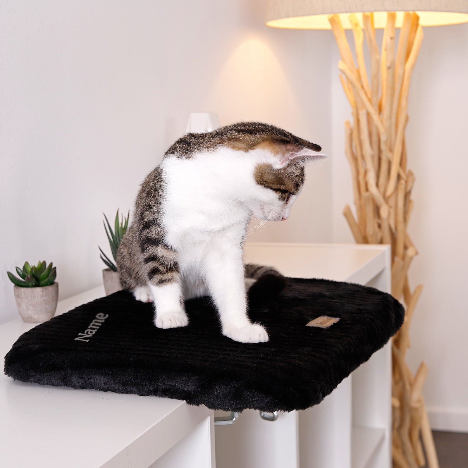 Tumbona para gatos, personalizada